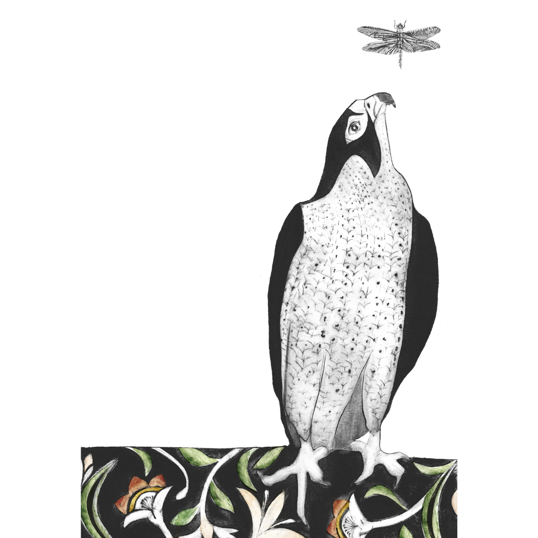 AMUR FALCON