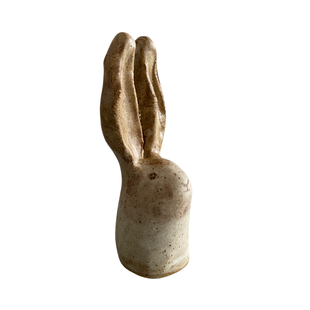 🔴RABBIT V