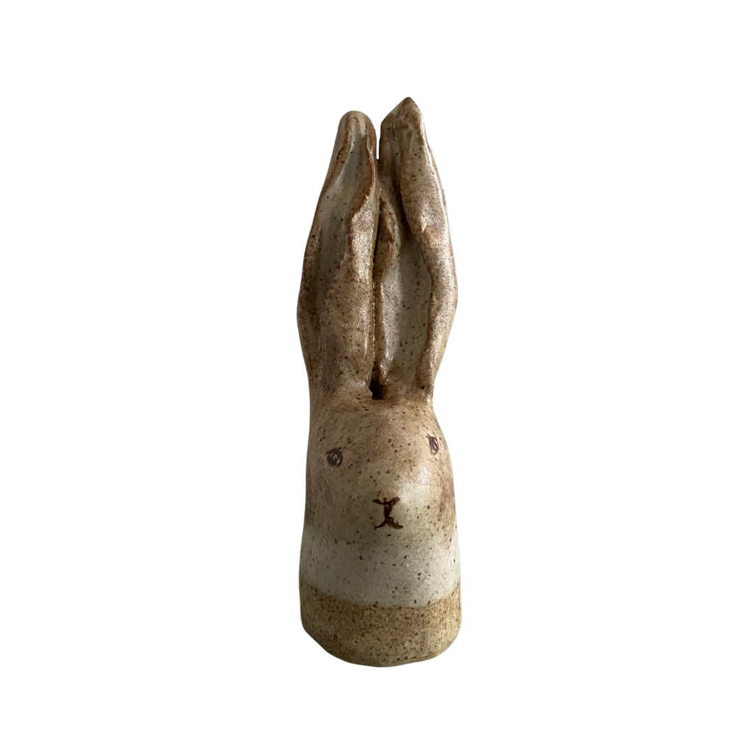 RABBIT VI