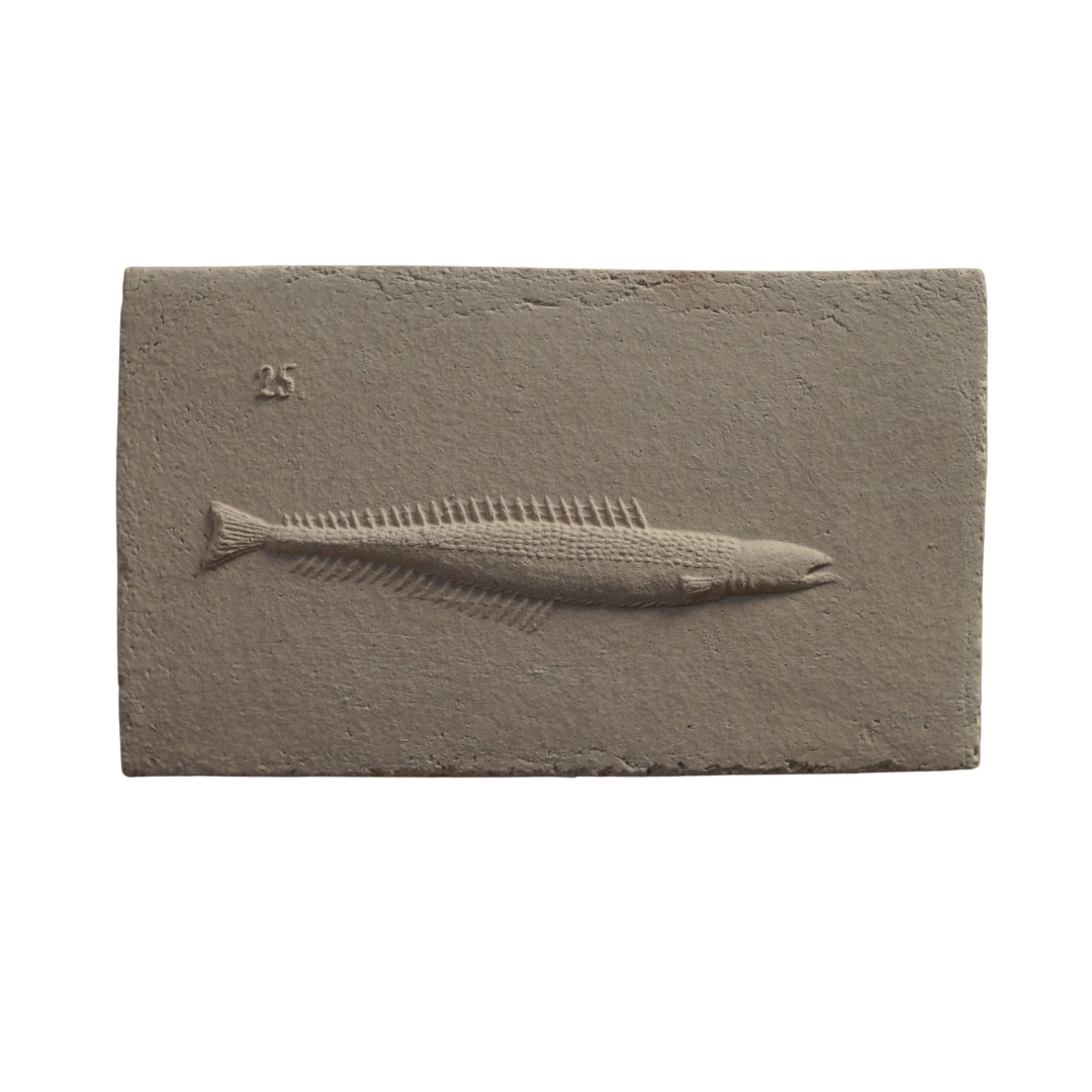 LESSER SAND-EEL I