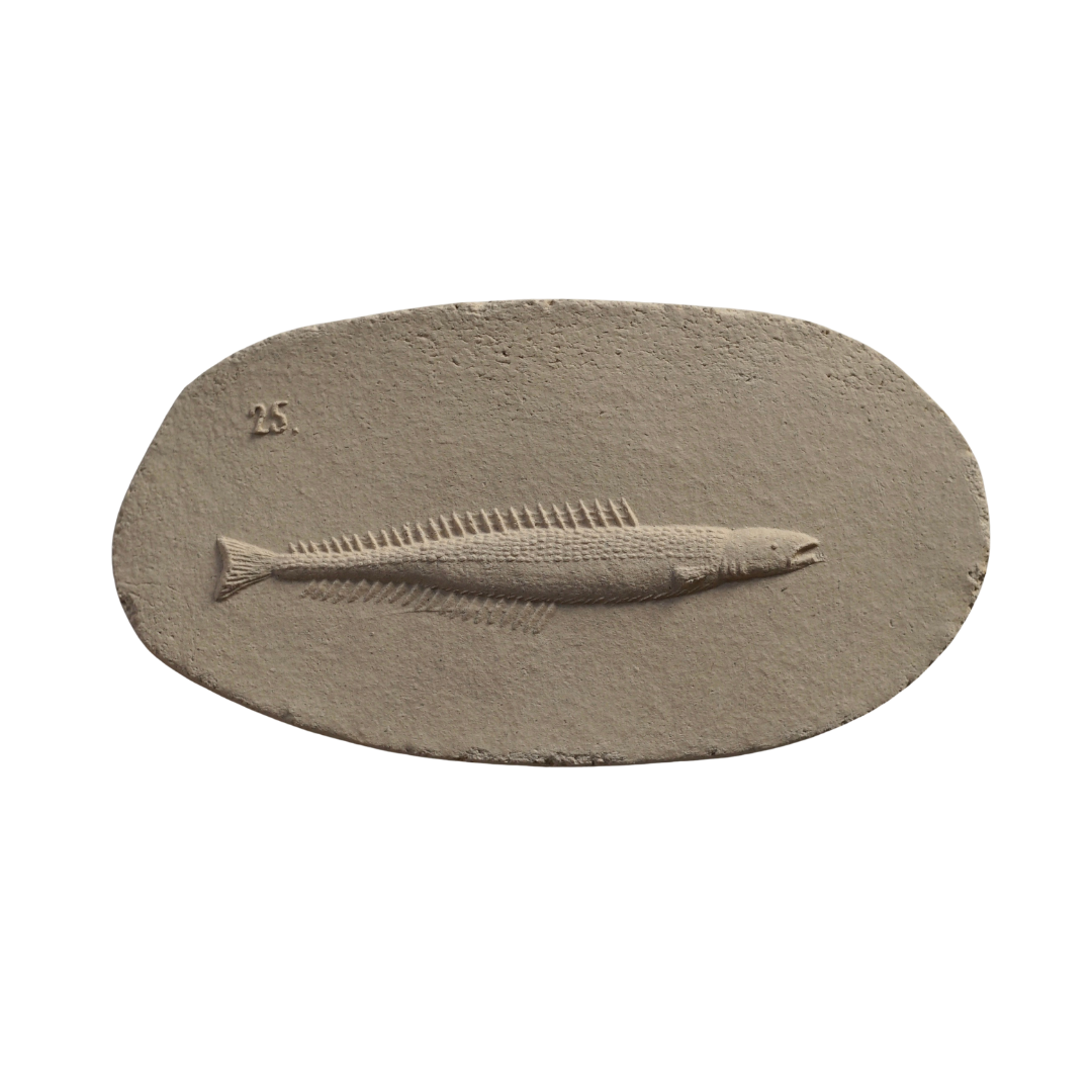 LESSER SAND-EEL II