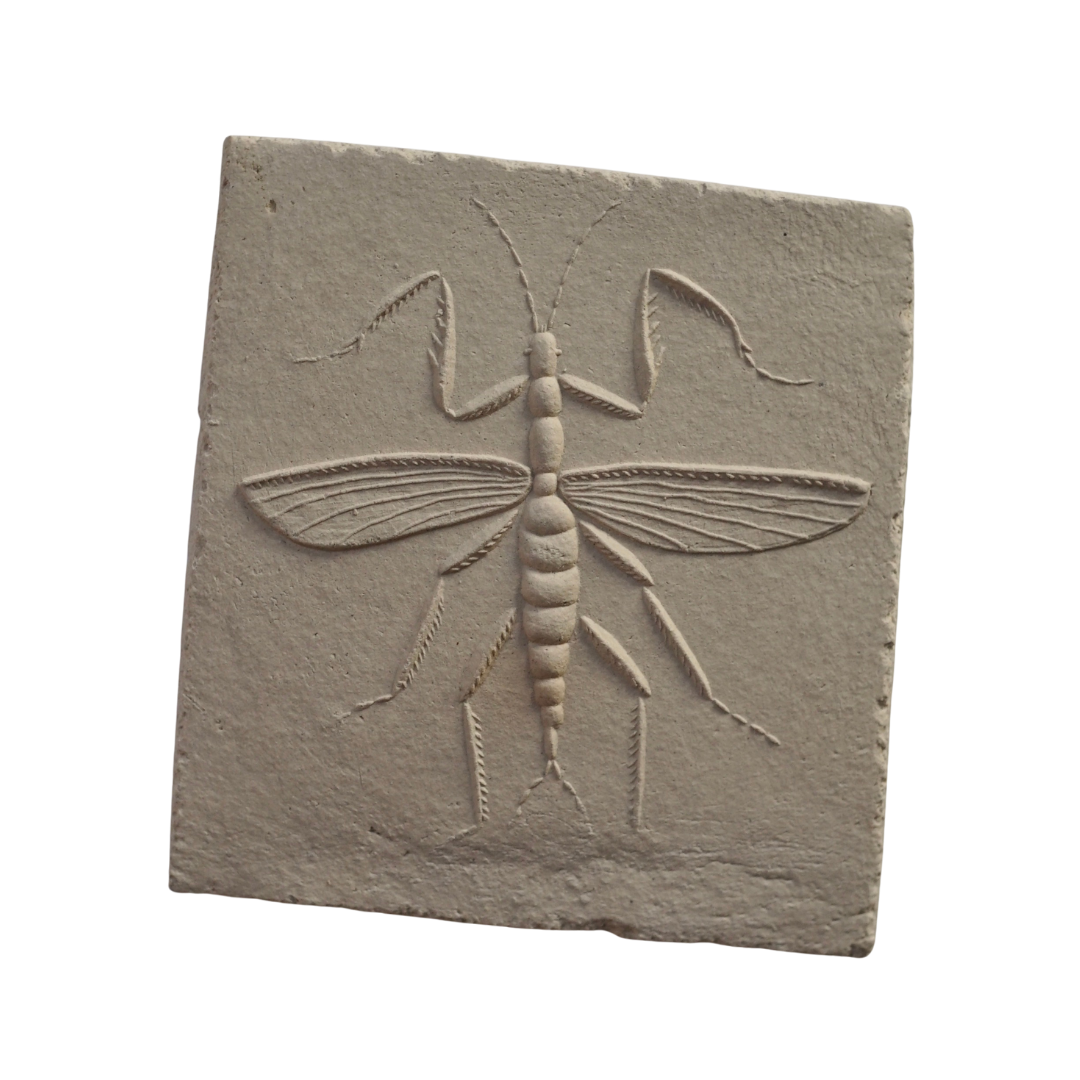 MANTODEA I