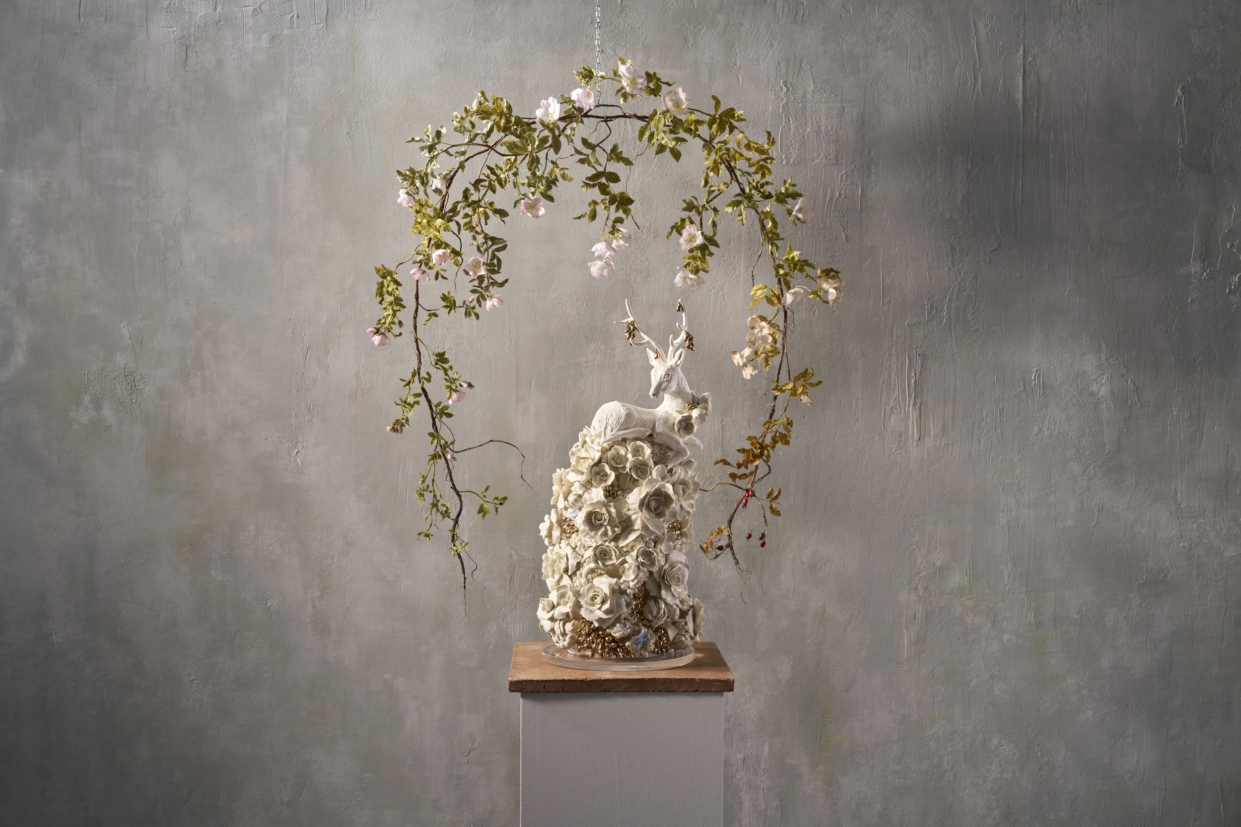 Exhibition Spotlight: Entanglement