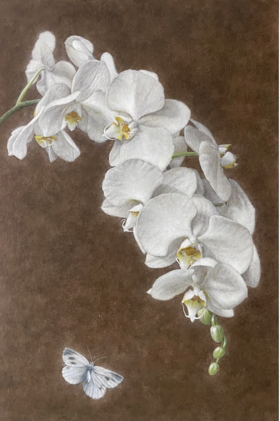 An interview with Oji Makoto 