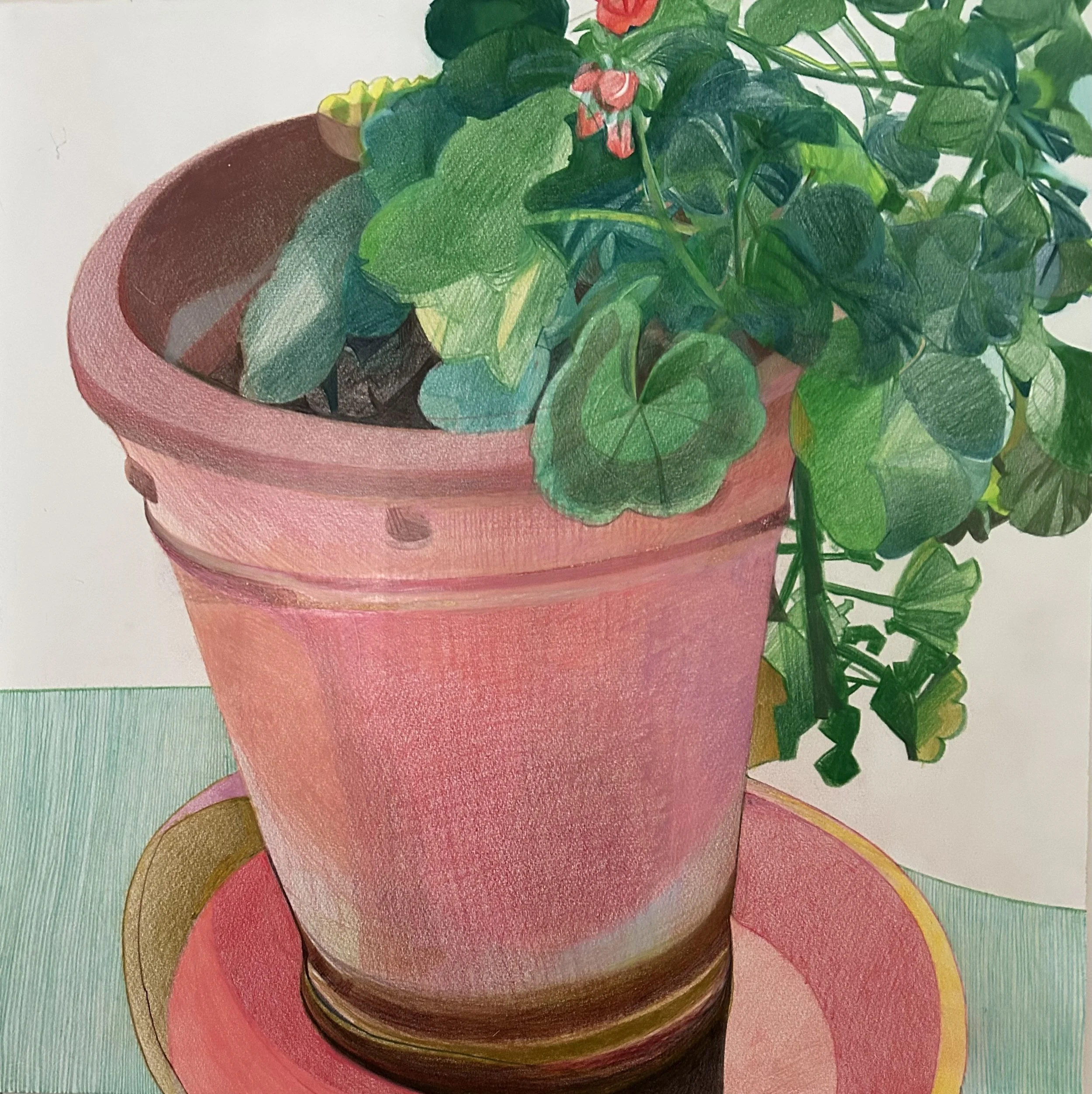 Geranium XIV by Alex Manolatos