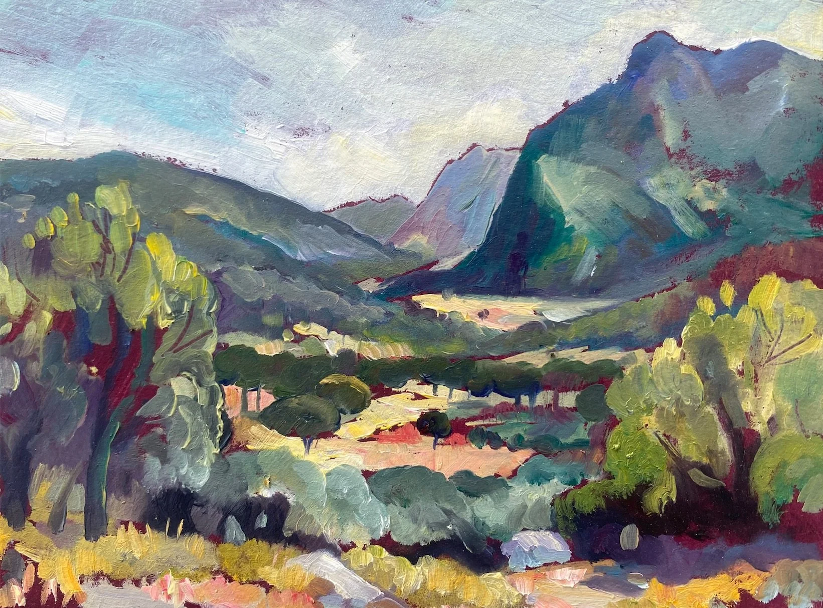 Spanish Landscape, Grazelema, Andalucia by polly bagnall