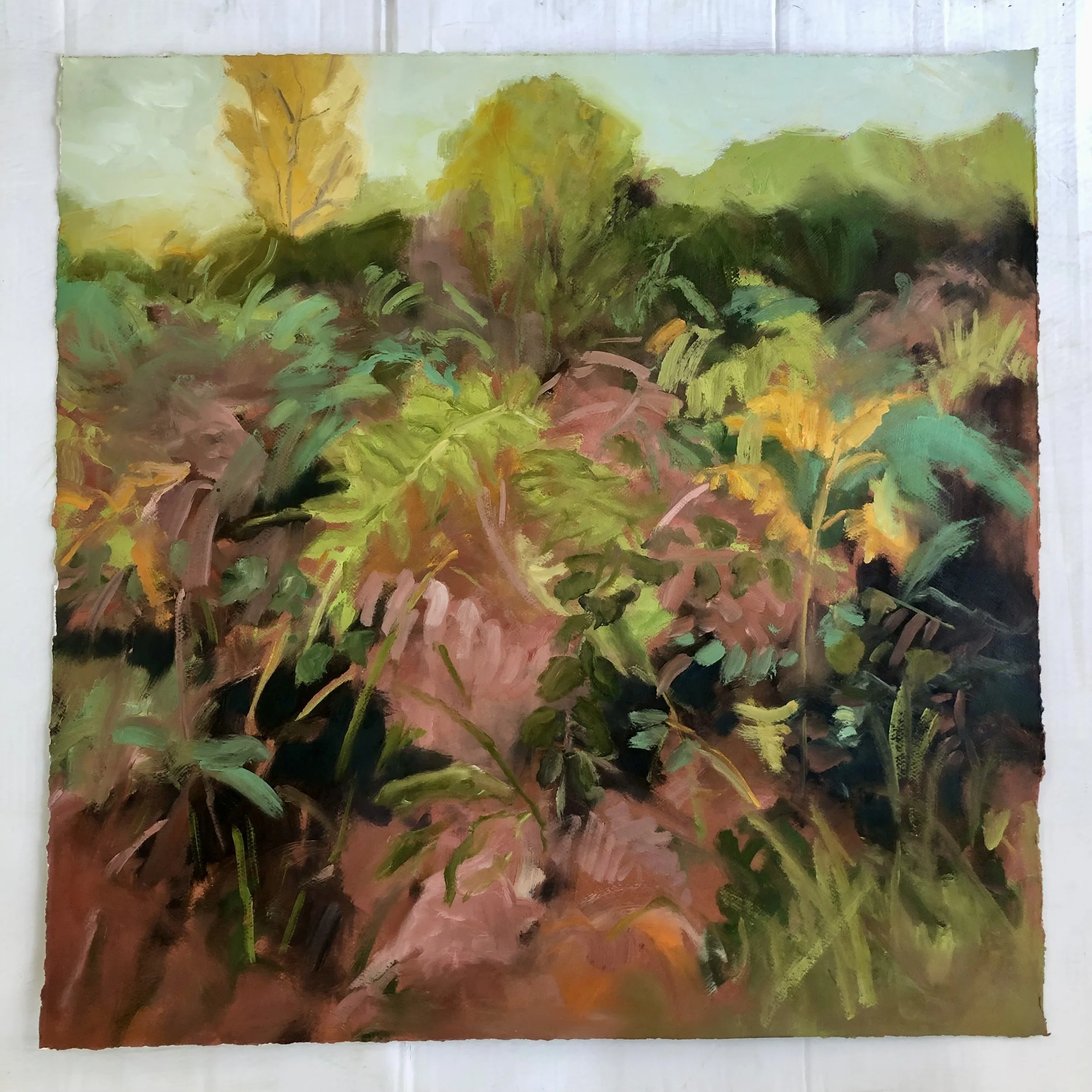 Natures Rules by Joanna Farrow