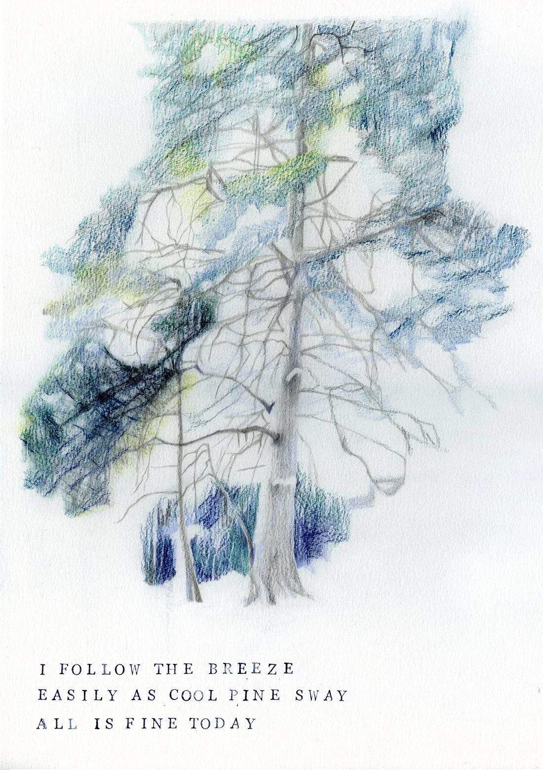 Cool Pine by Cave Medicine