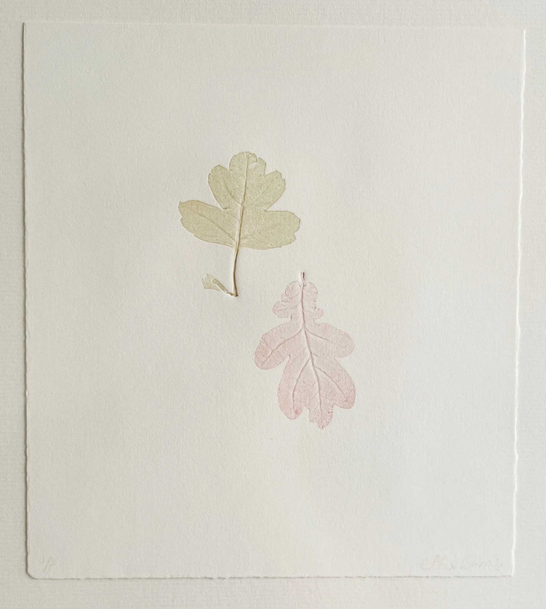 Lake District Series (Hawthorn & Oak) by Effie Burns