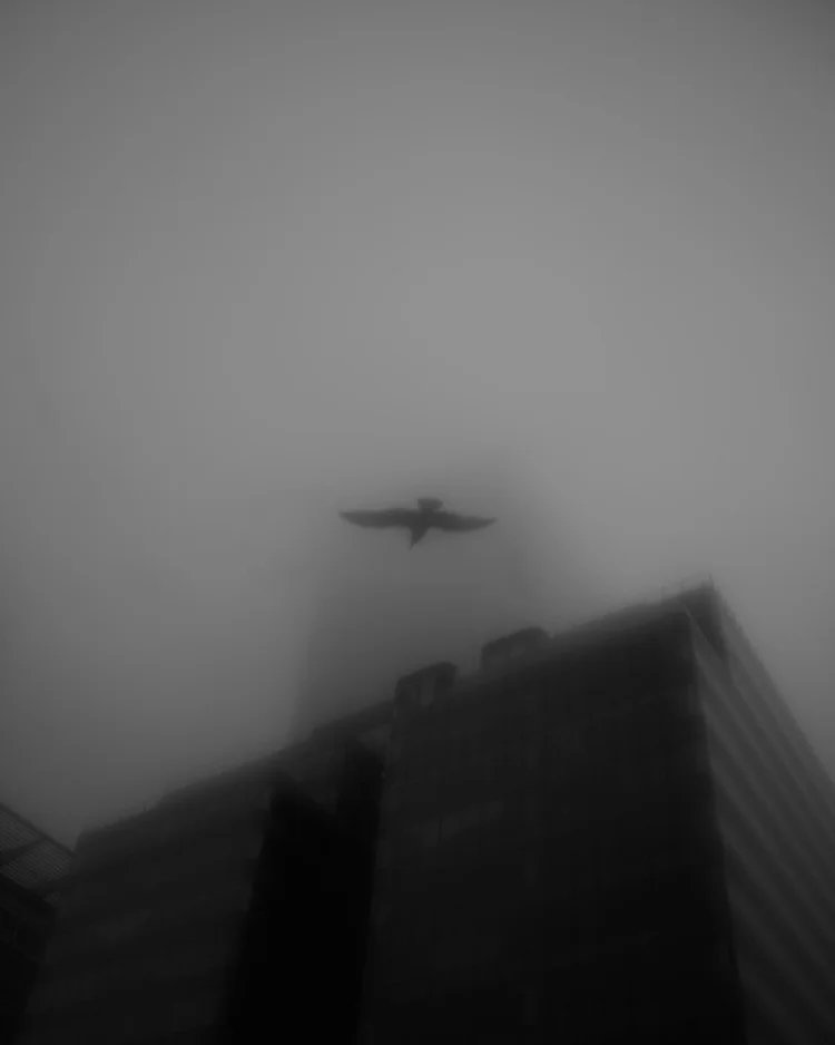 Jacek Artymiak , Low Clouds 1, 100807.jpg