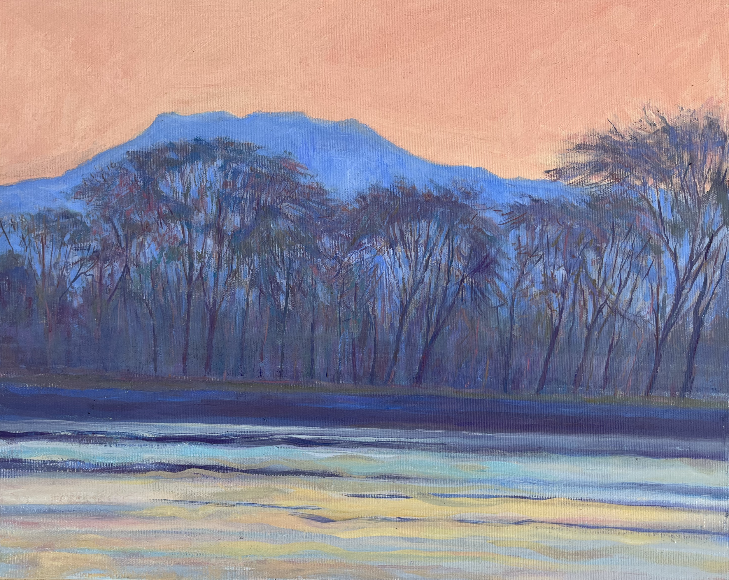 SALMON SKY AND WINTERTHORNS | Oil on Canvas | 40 x 50 cm | £1250