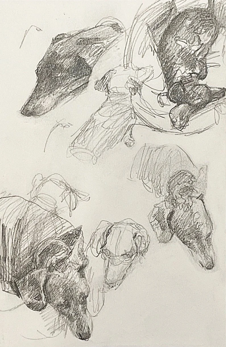 🔴Suki by Laurence Collis