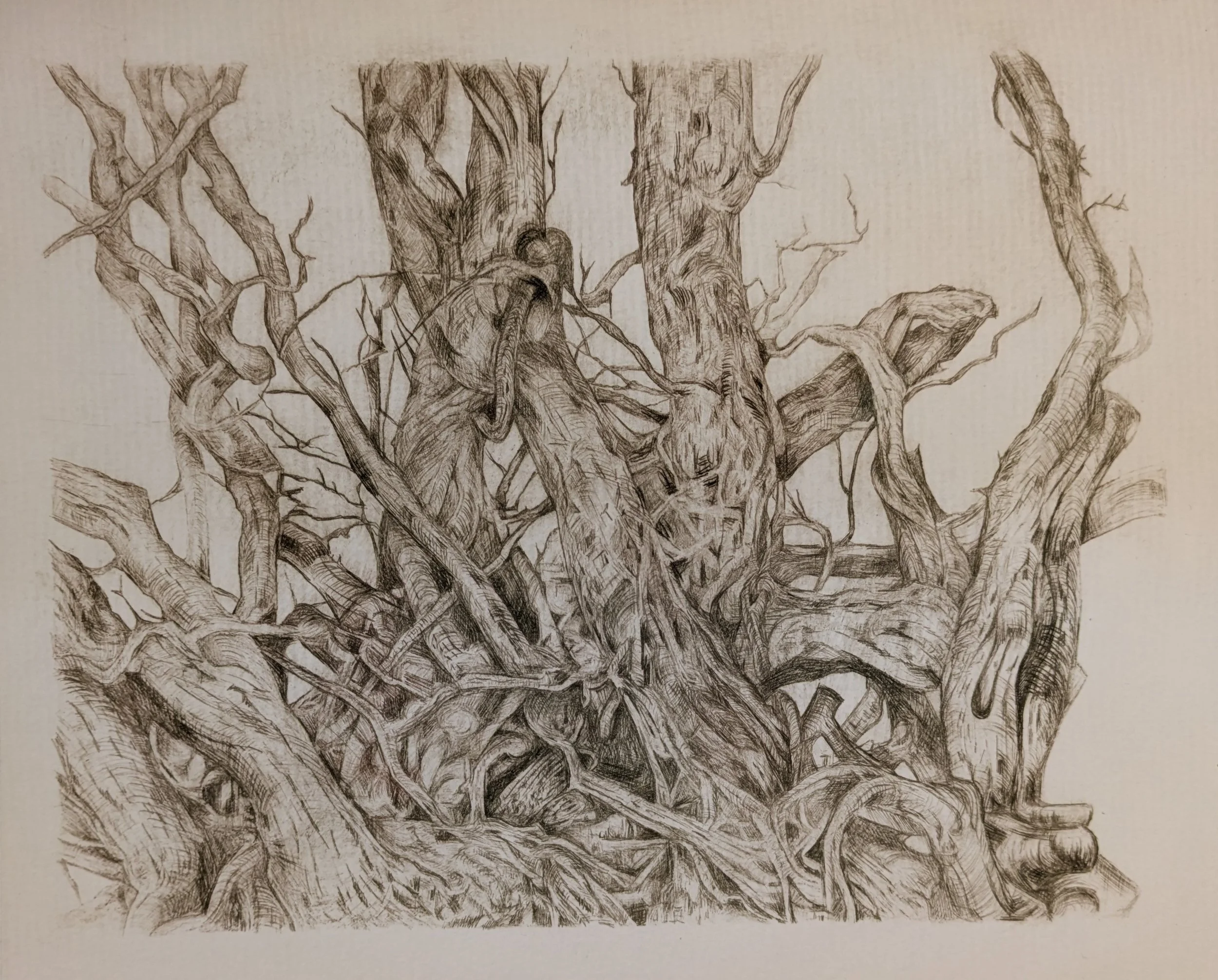 Rooted Chaos by Samantha Foster