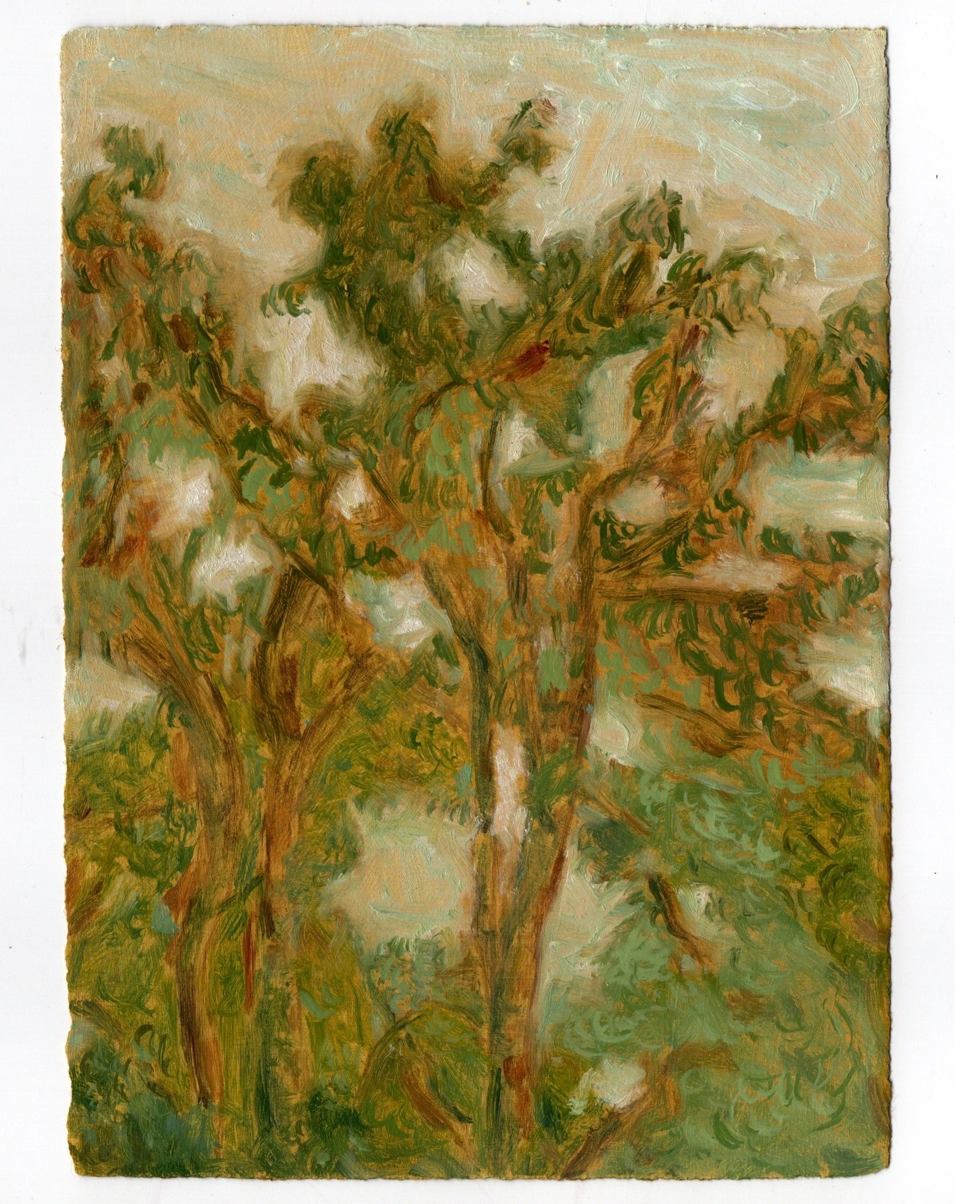 Two trees by sophia ponte