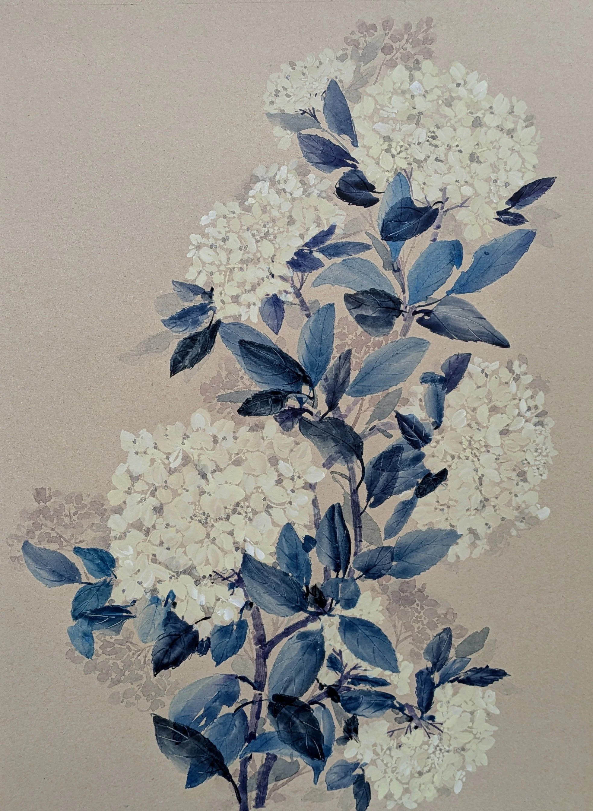 Moments of Wonder - Hydrangea by Shilpa Agashe