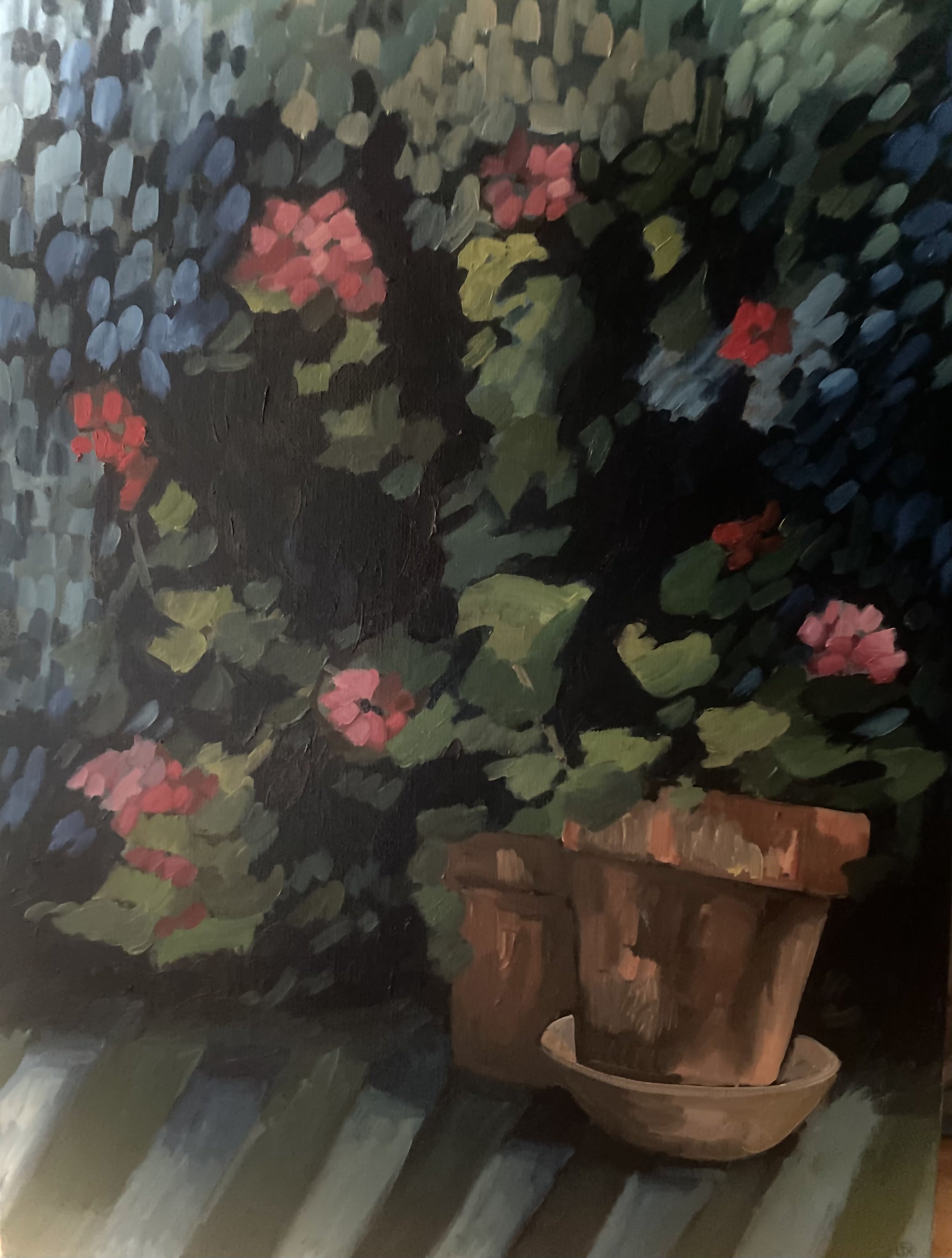 Susanna_Robinson_Evening_Geraniums_2025_2.jpg