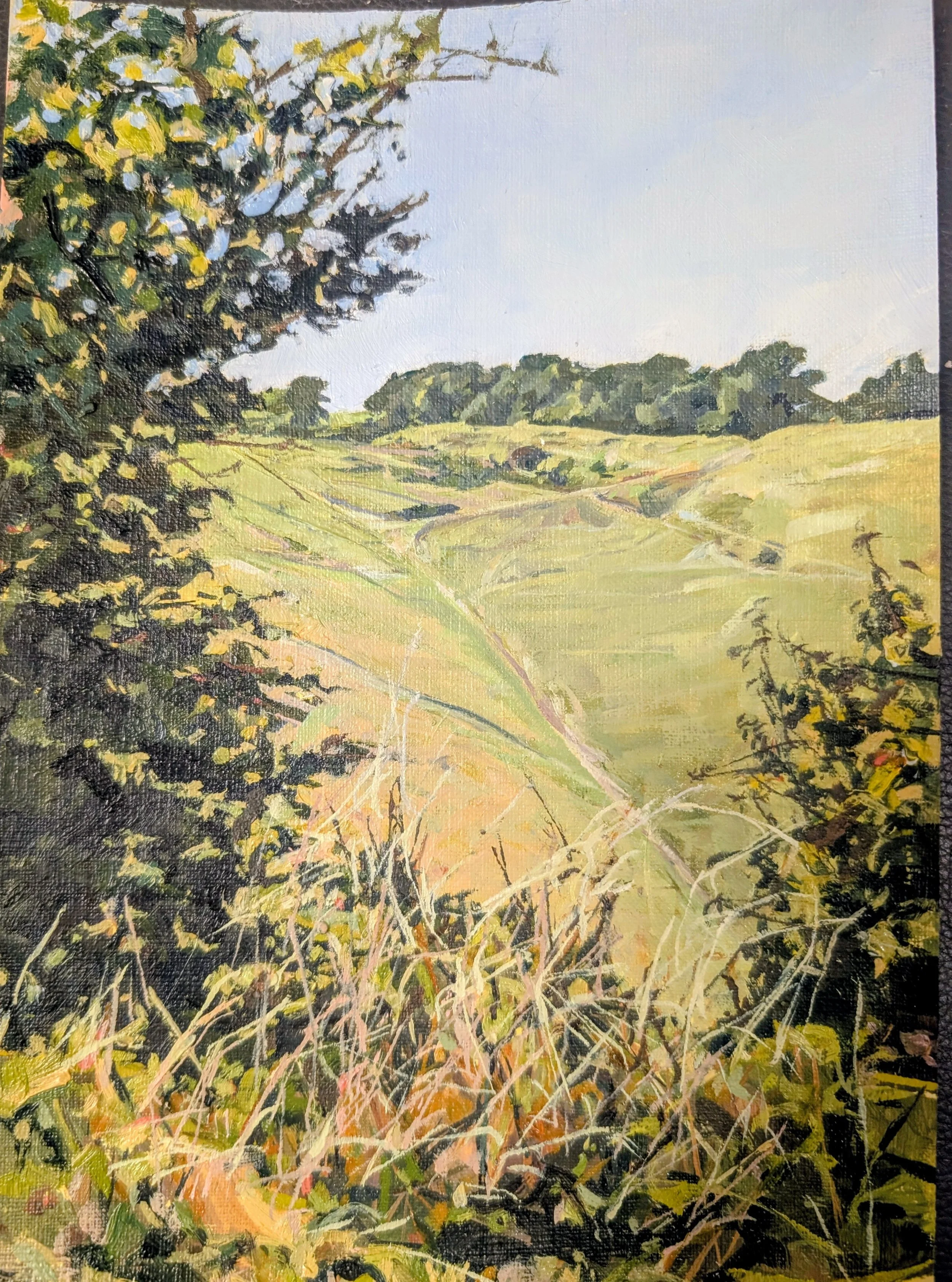Devil's Dyke on an Autumn Day by Bonnita Apperley