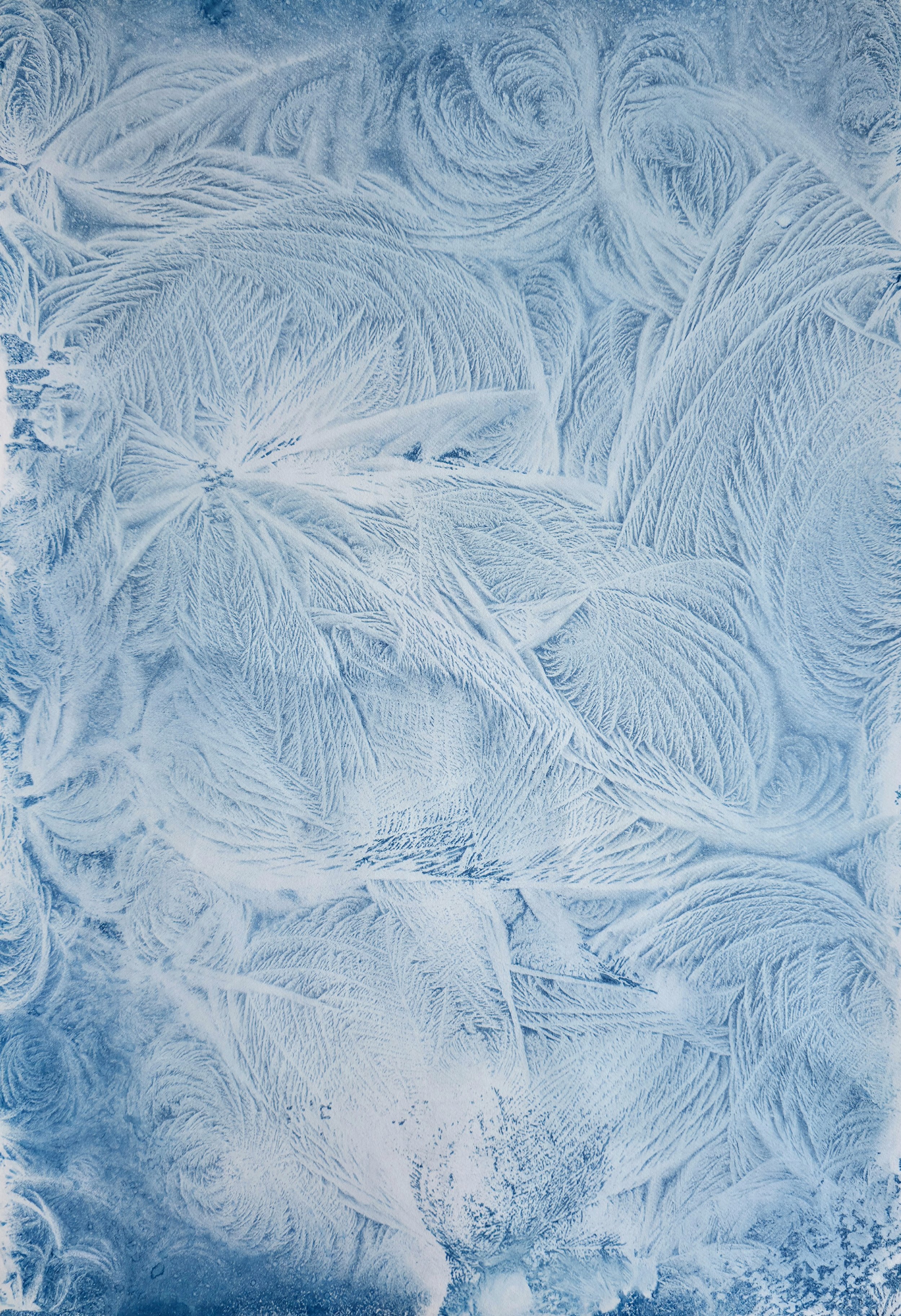 Whispers of Ice I by Claudia Schilling