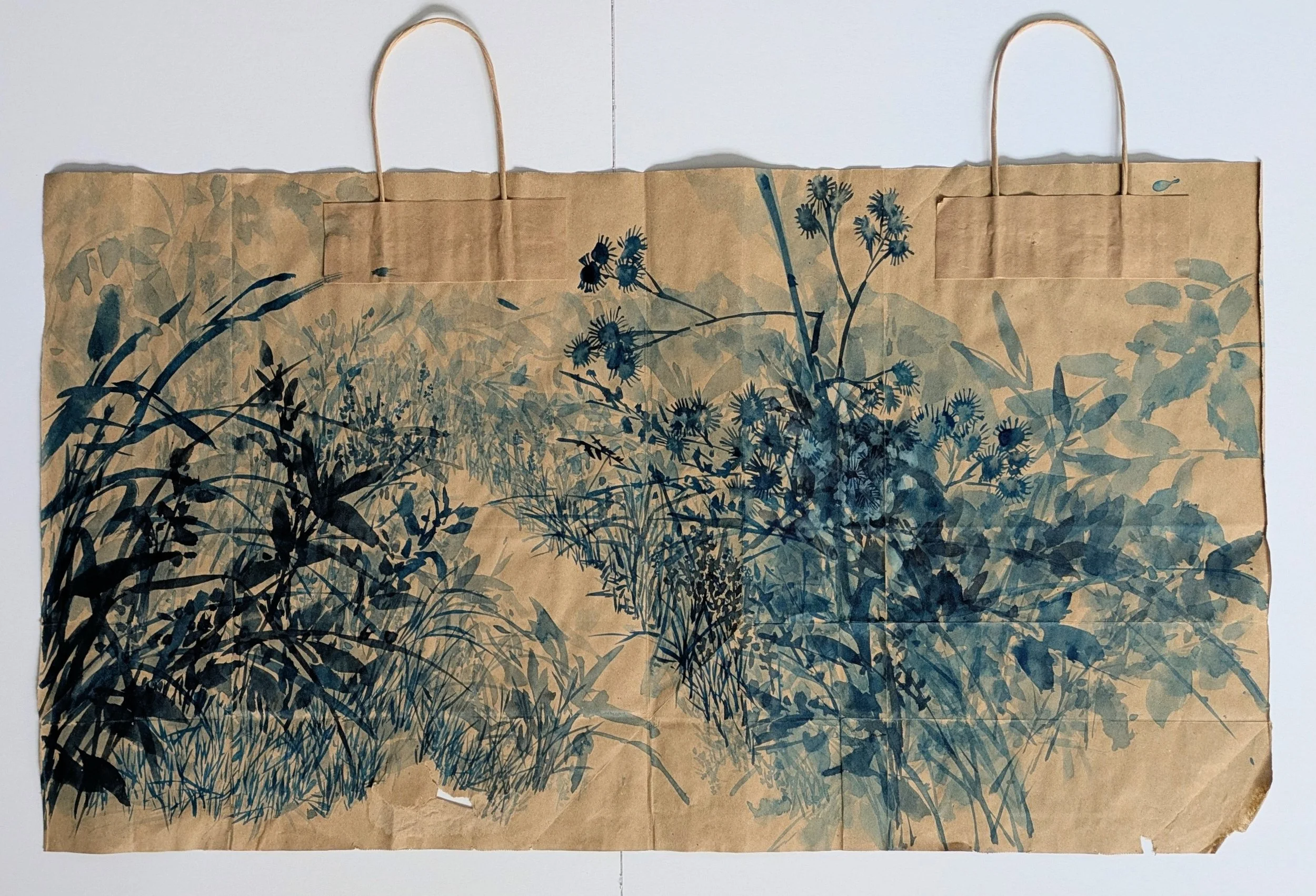 Ordinarily extraordinary by Shilpa Agashe