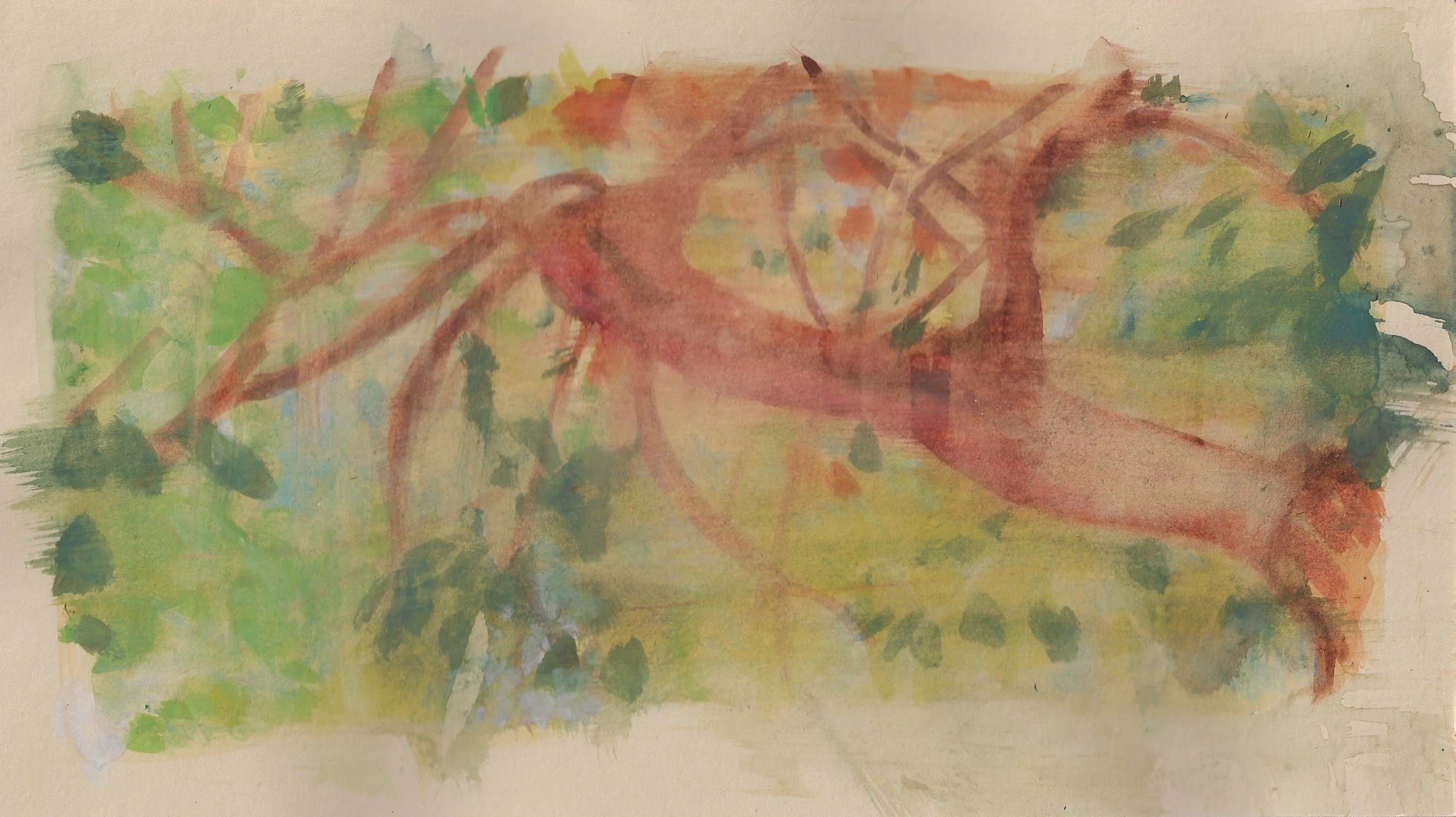 The front garden by Margarida Fernandes