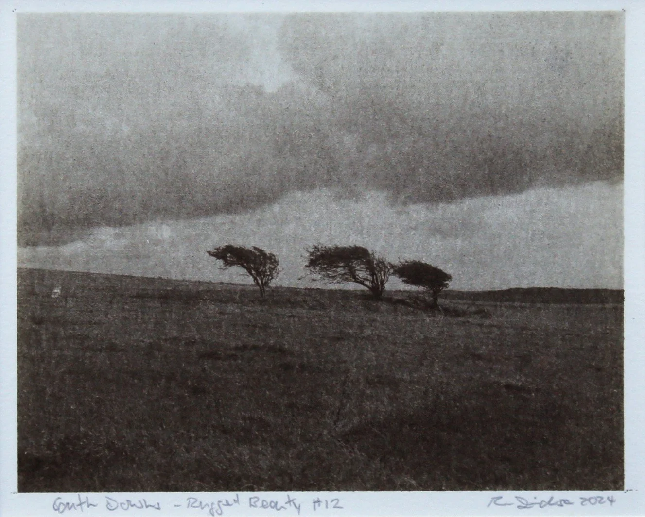 South Downs Rugged Beauty #12 by Richard Dickson