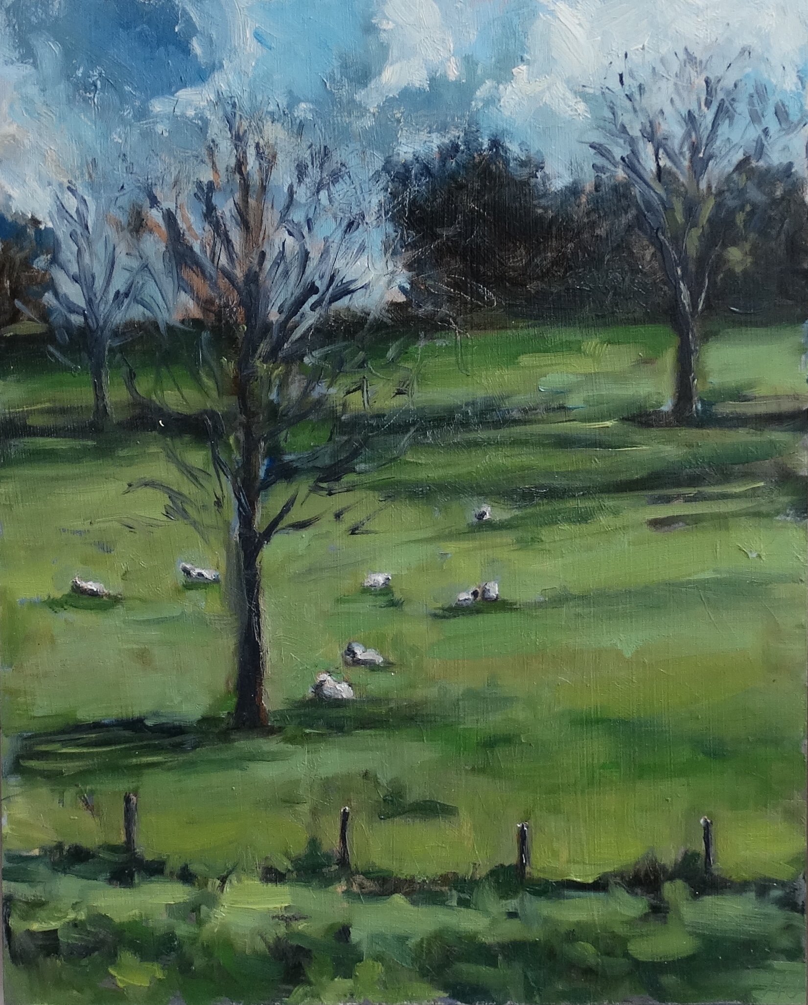 Spring Sheep, Chawton, Maria Yadegar