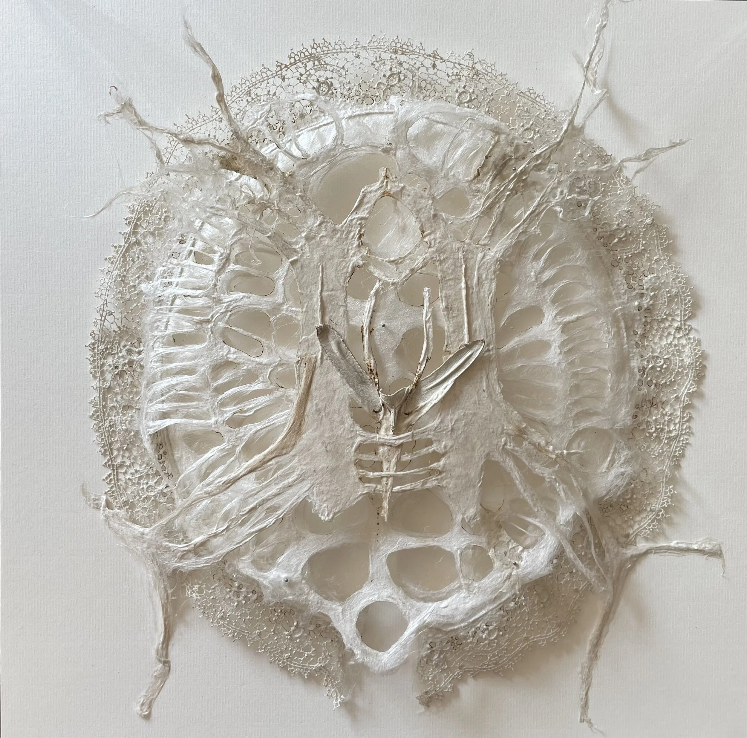 Mandy Coppes-Martin, Delicate Abstraction, 107442.jpg