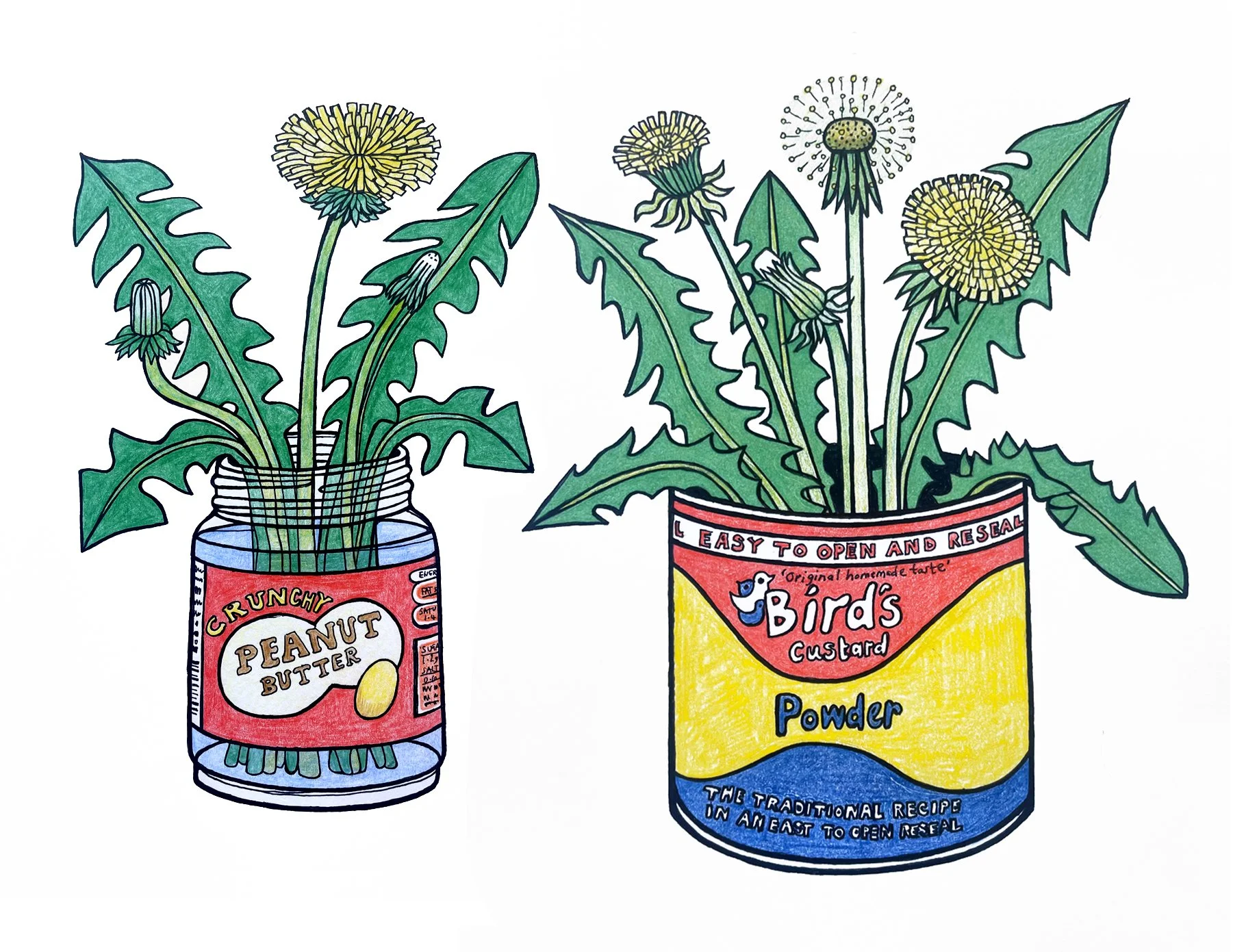 Maya Wild Dandilions.jpg