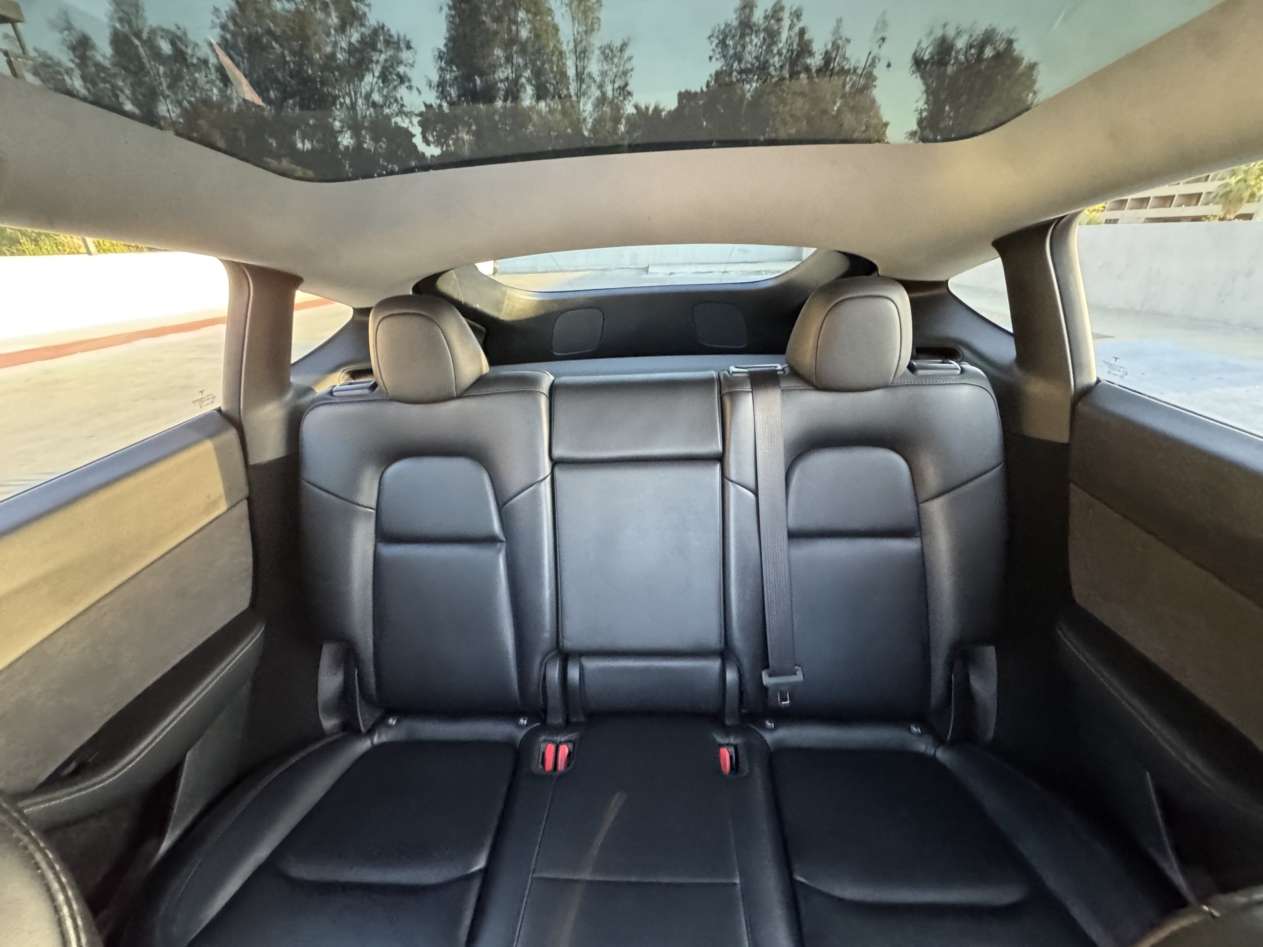 Rear Seats