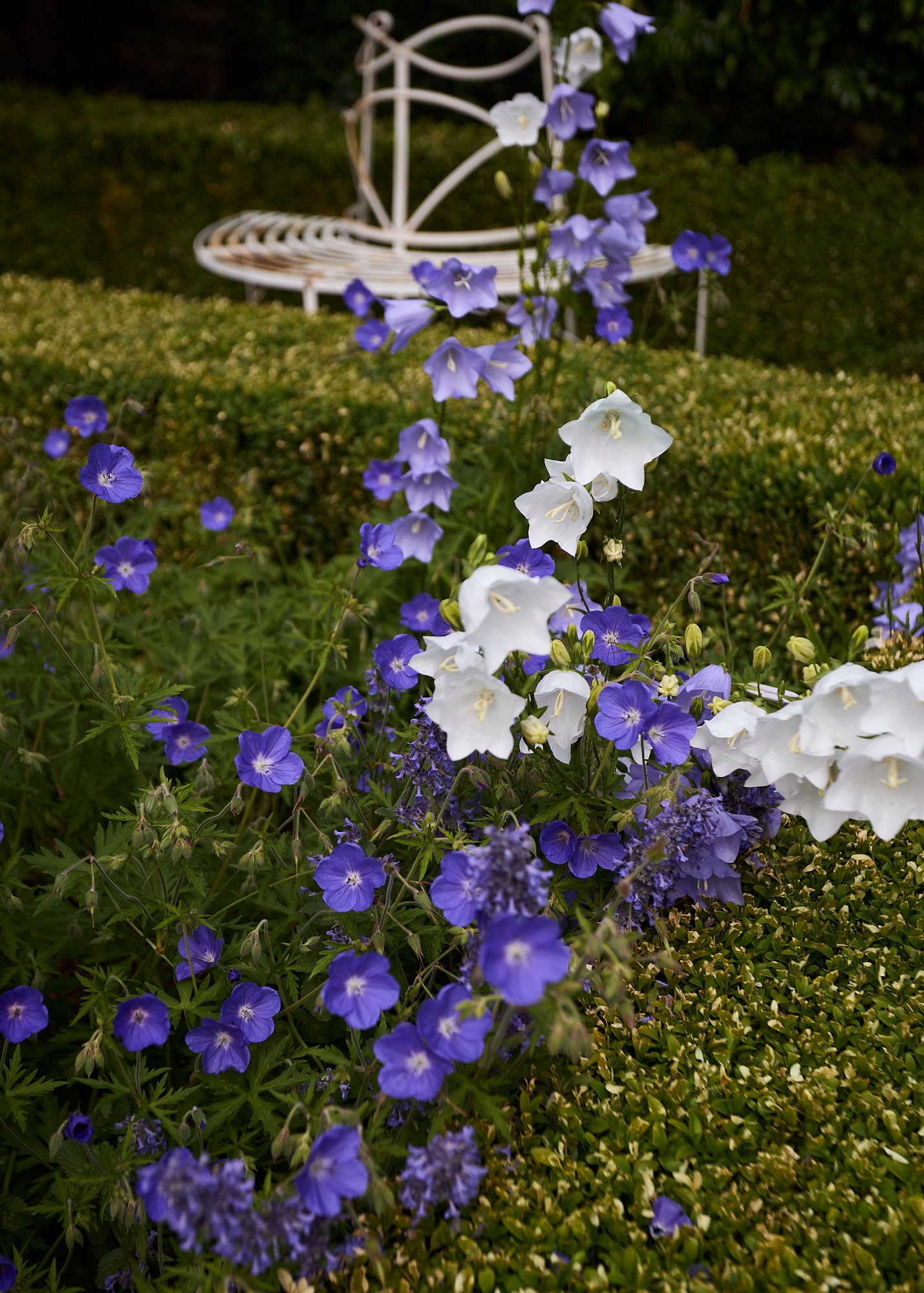 _BACK GARDEN small_43.jpg