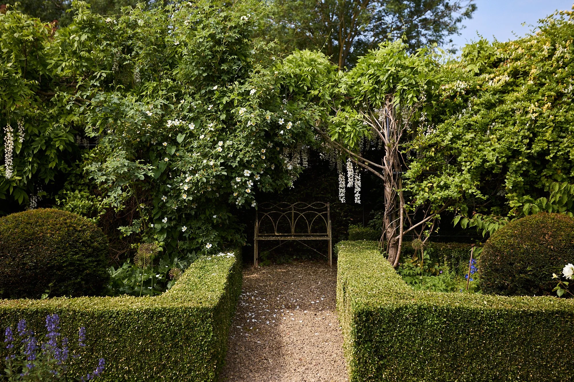 _BACK GARDEN small_35.jpg
