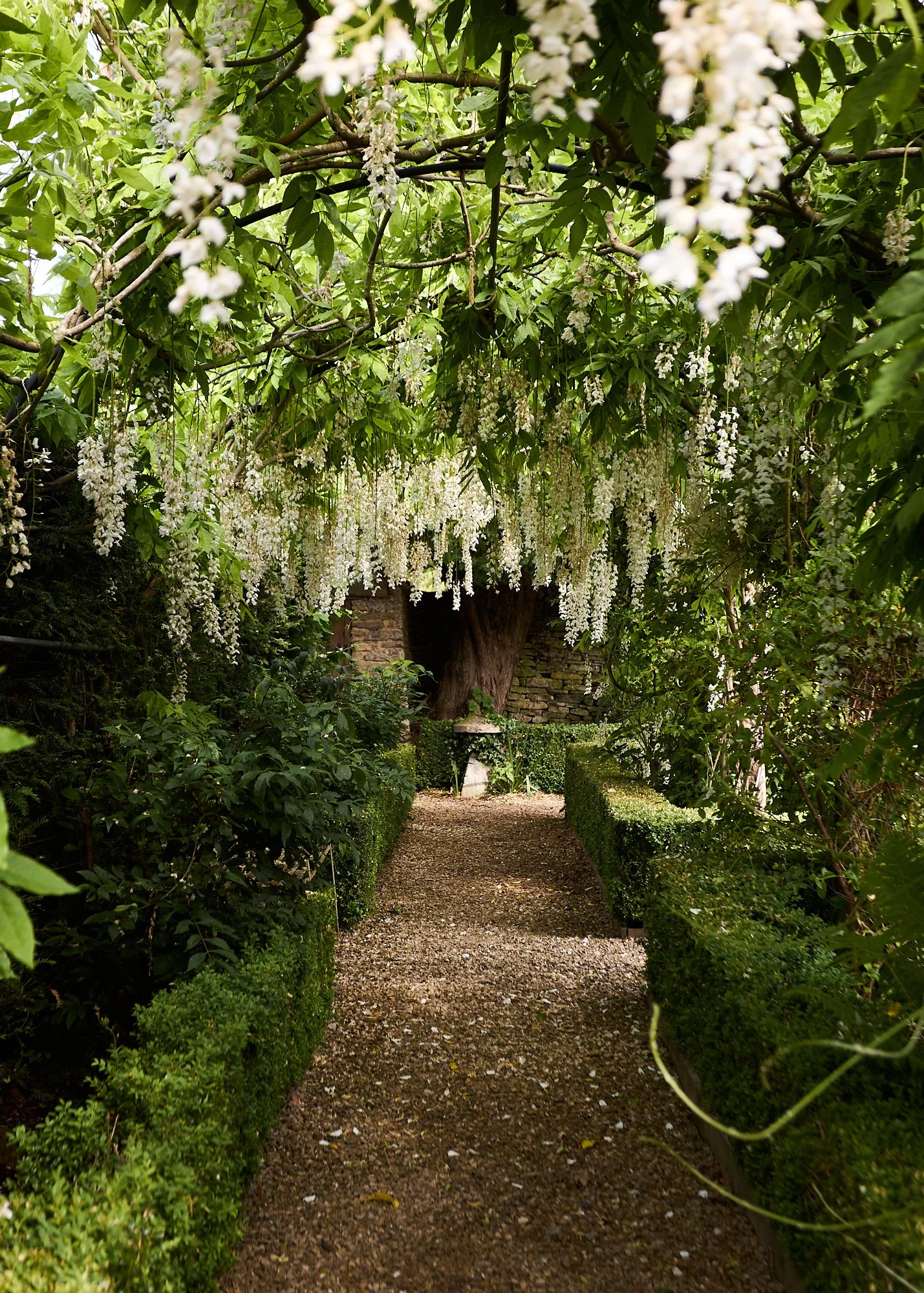 _BACK GARDEN small_30.jpg