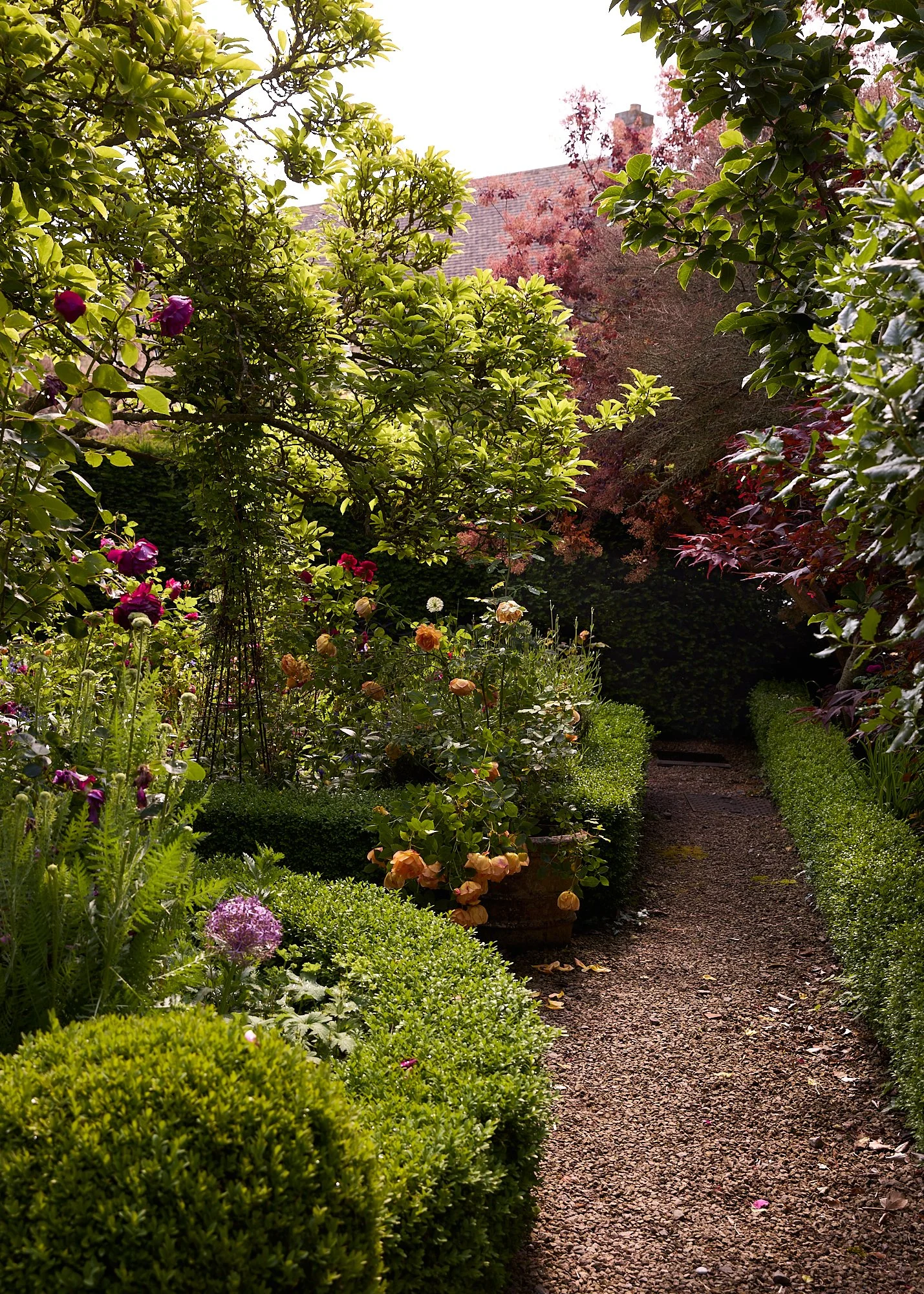 _FRONT GARDEN small_26.jpg