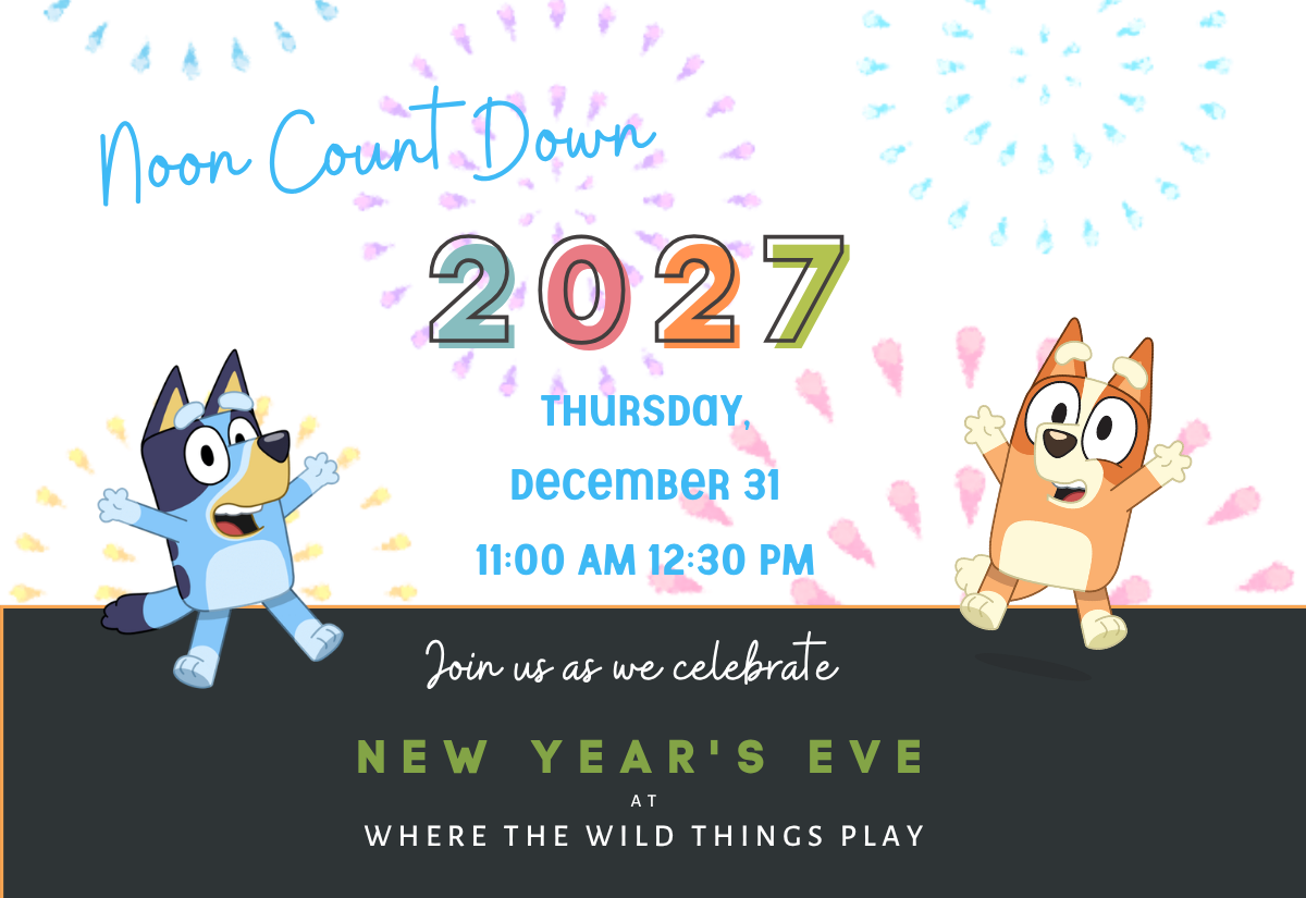 Noon Countdown to 2027!