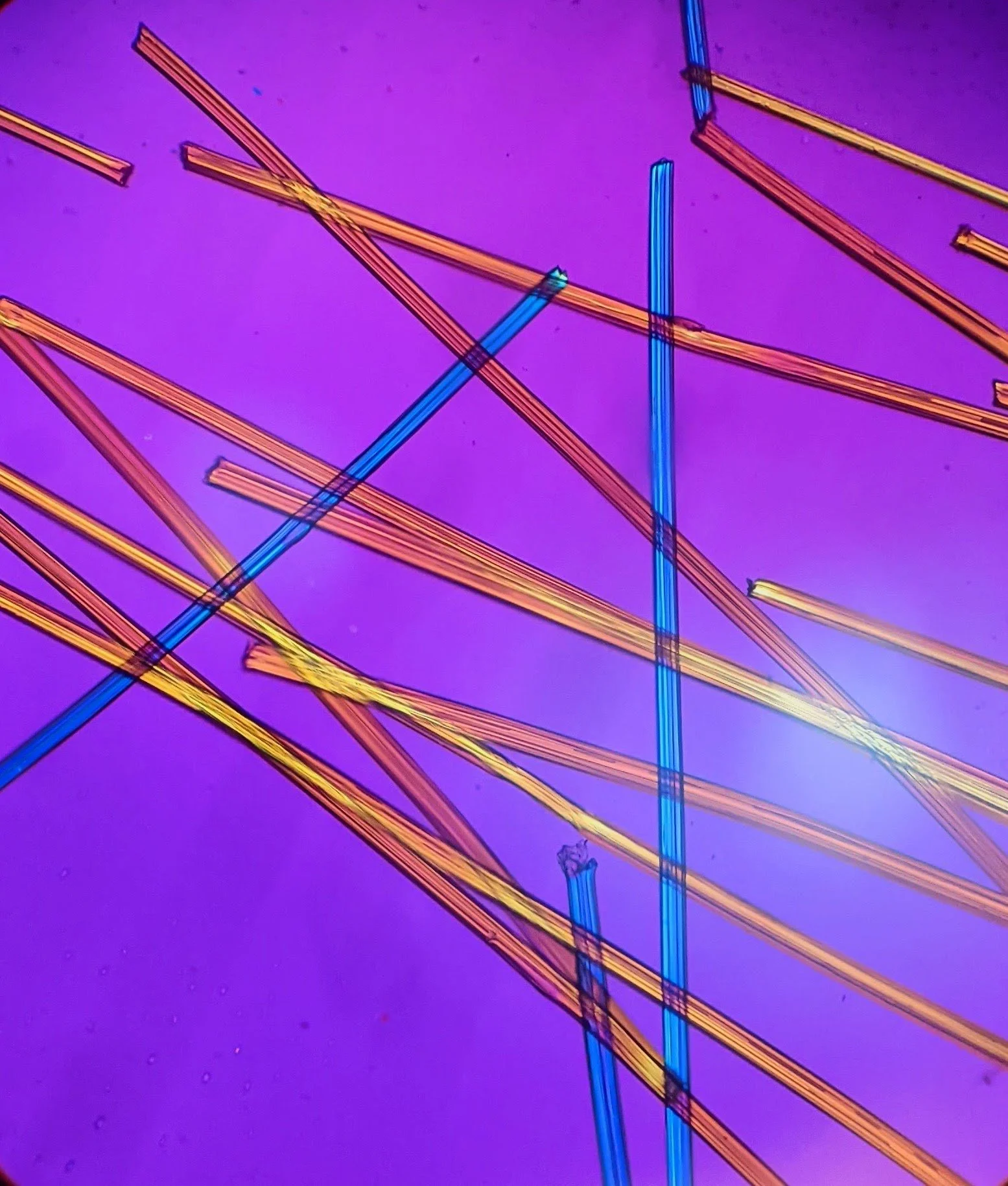 carousel - microscopy.JPG