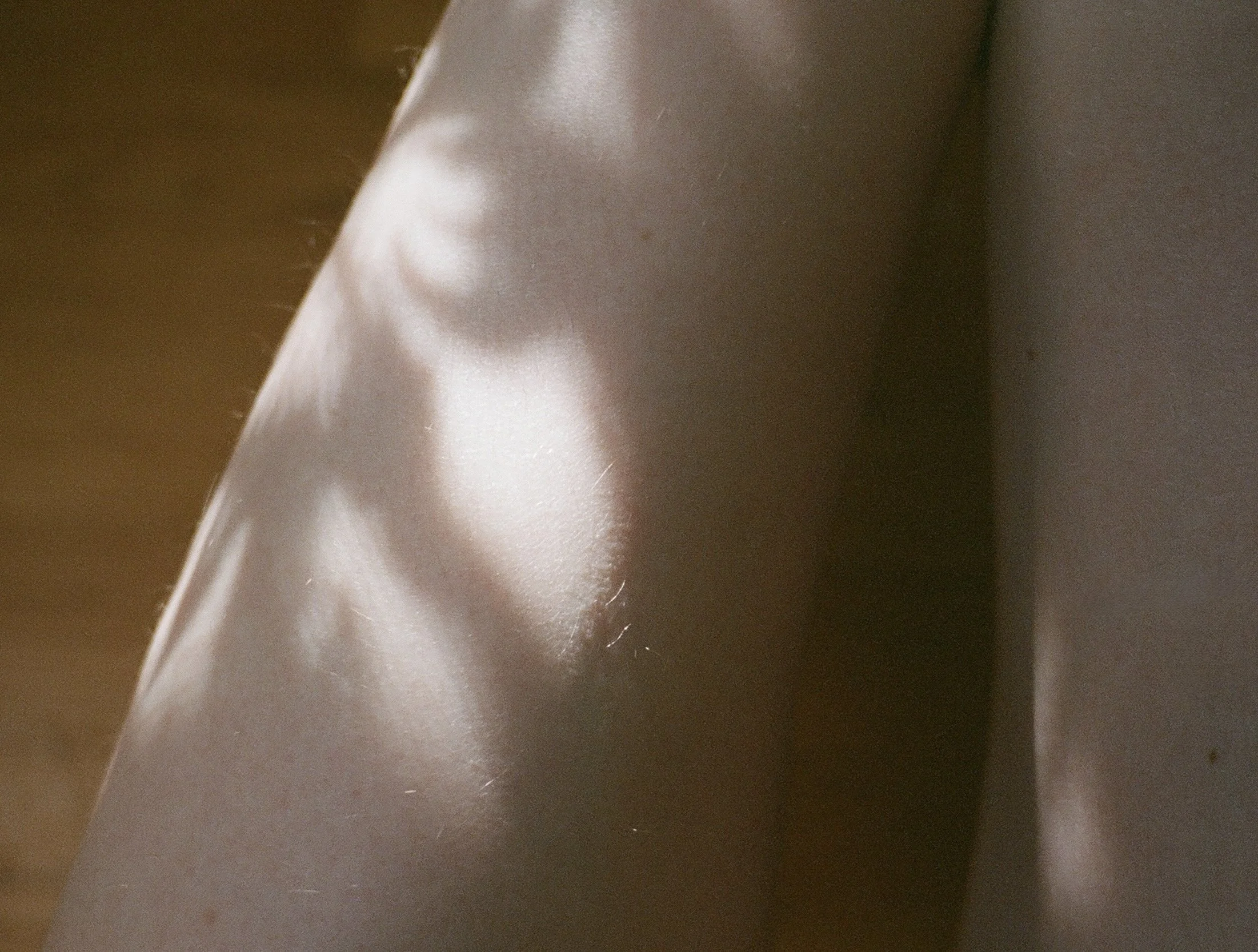 000078450018_Afterlight.jpg