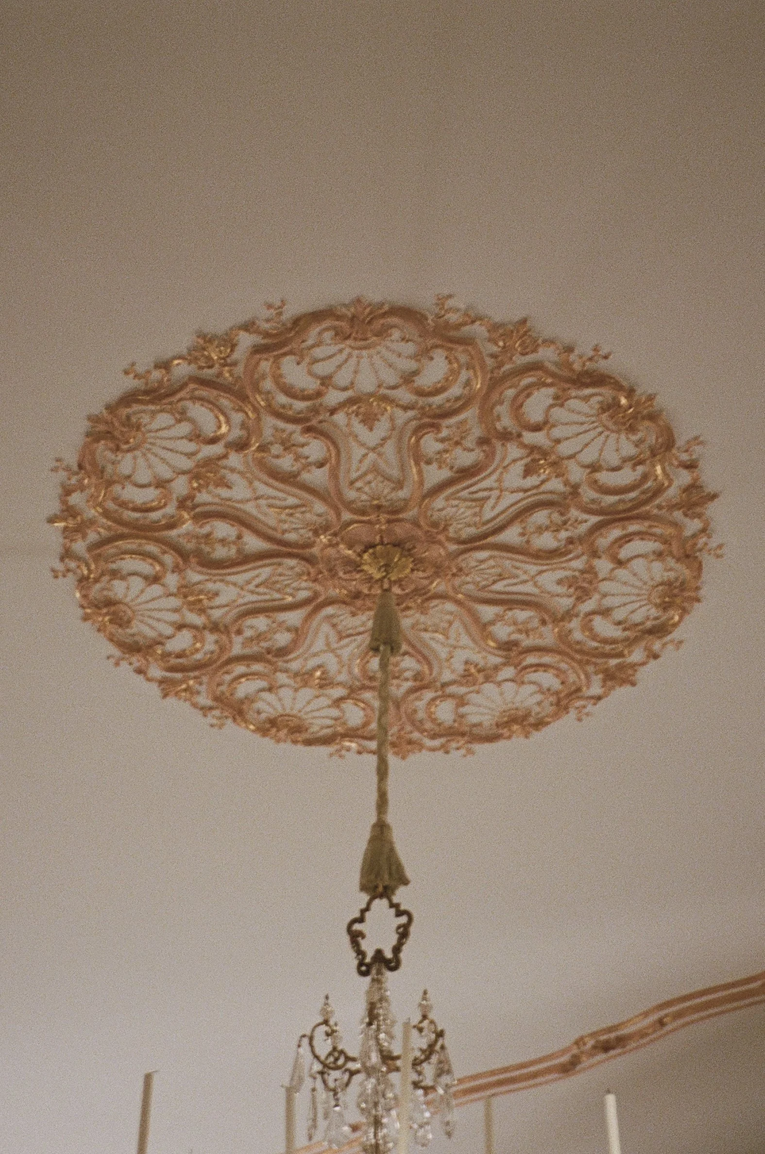 000009090022_Afterlight(1).jpg