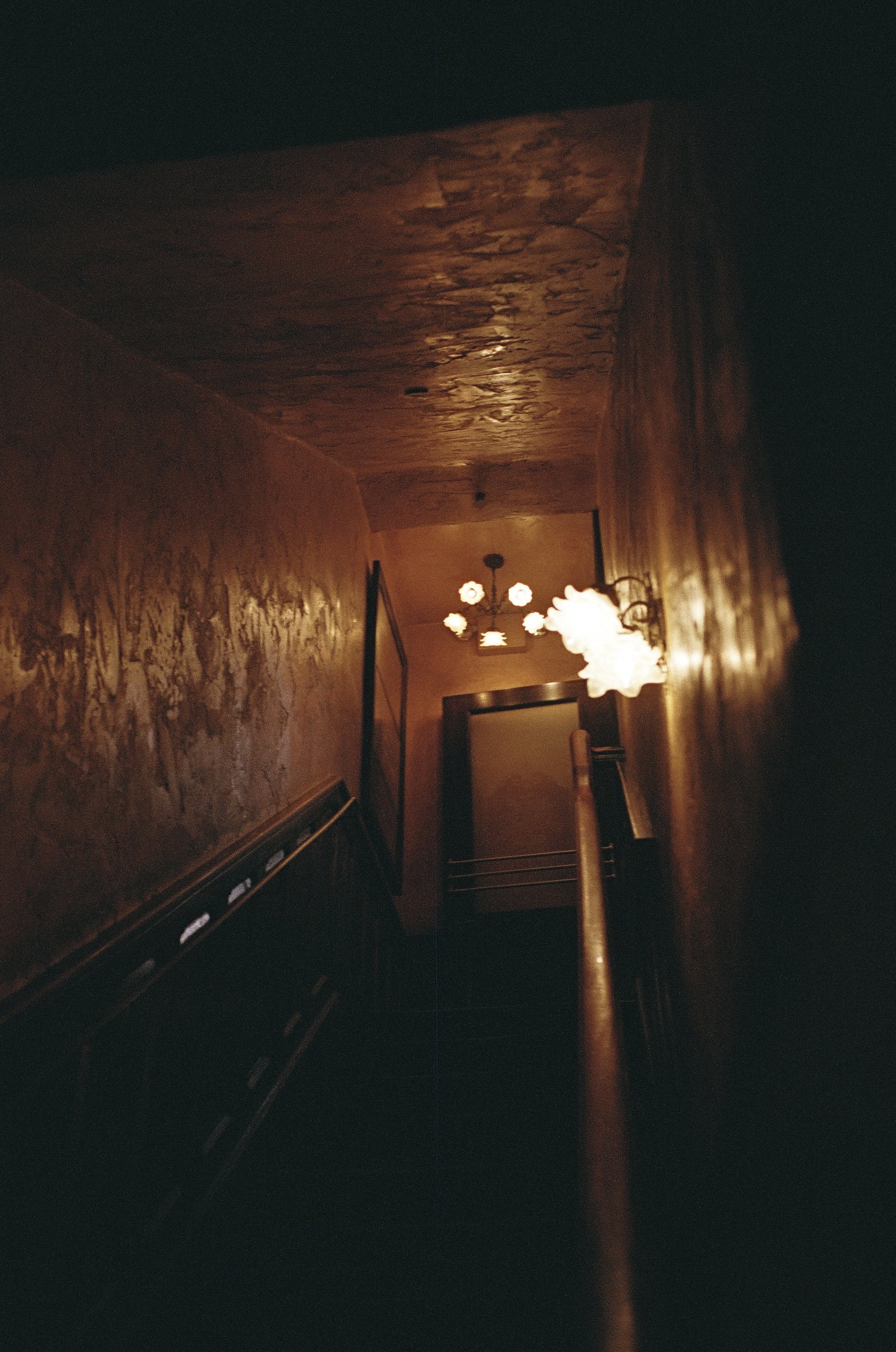 19740009_Afterlight.jpg