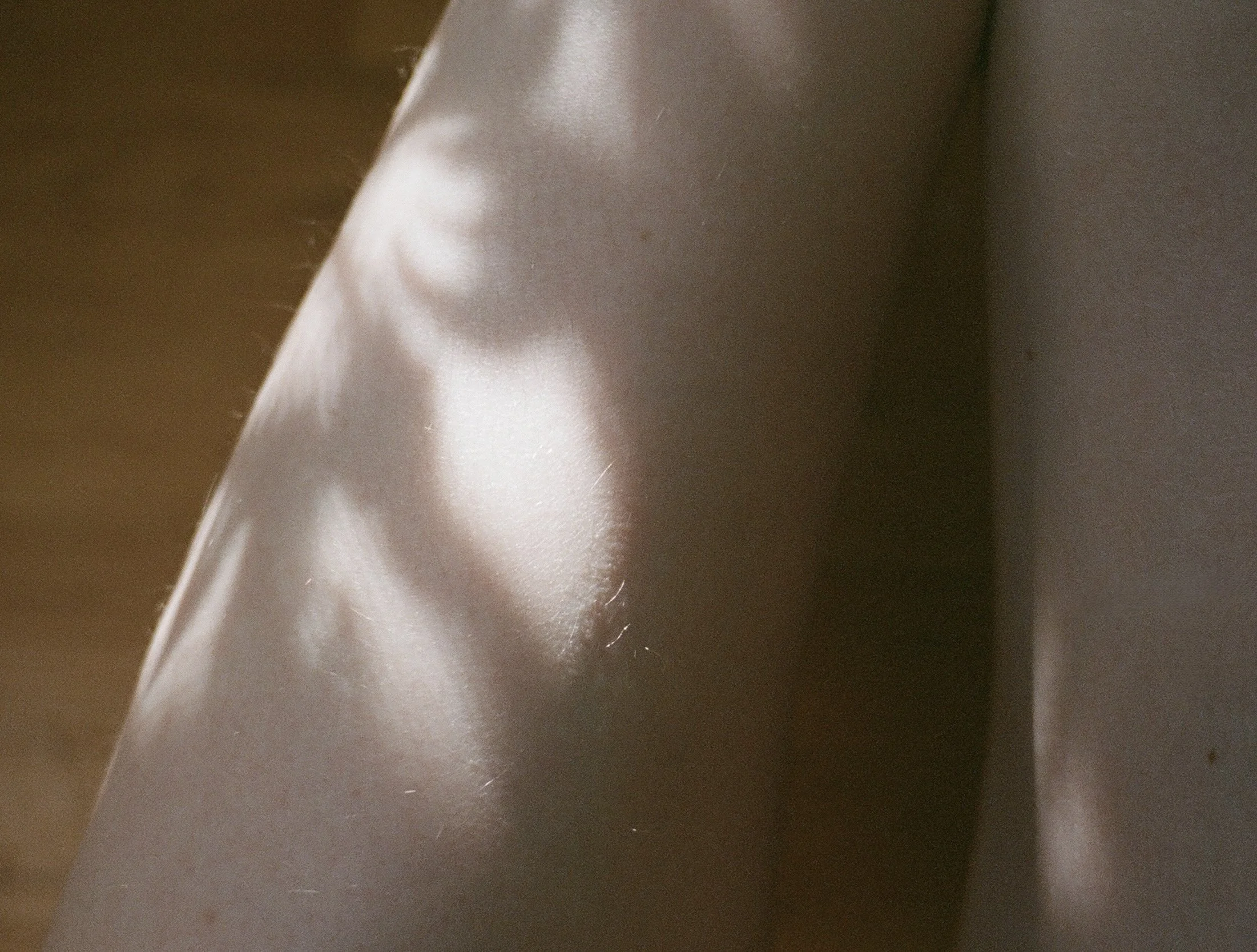 000078450018_Afterlight(1).jpg