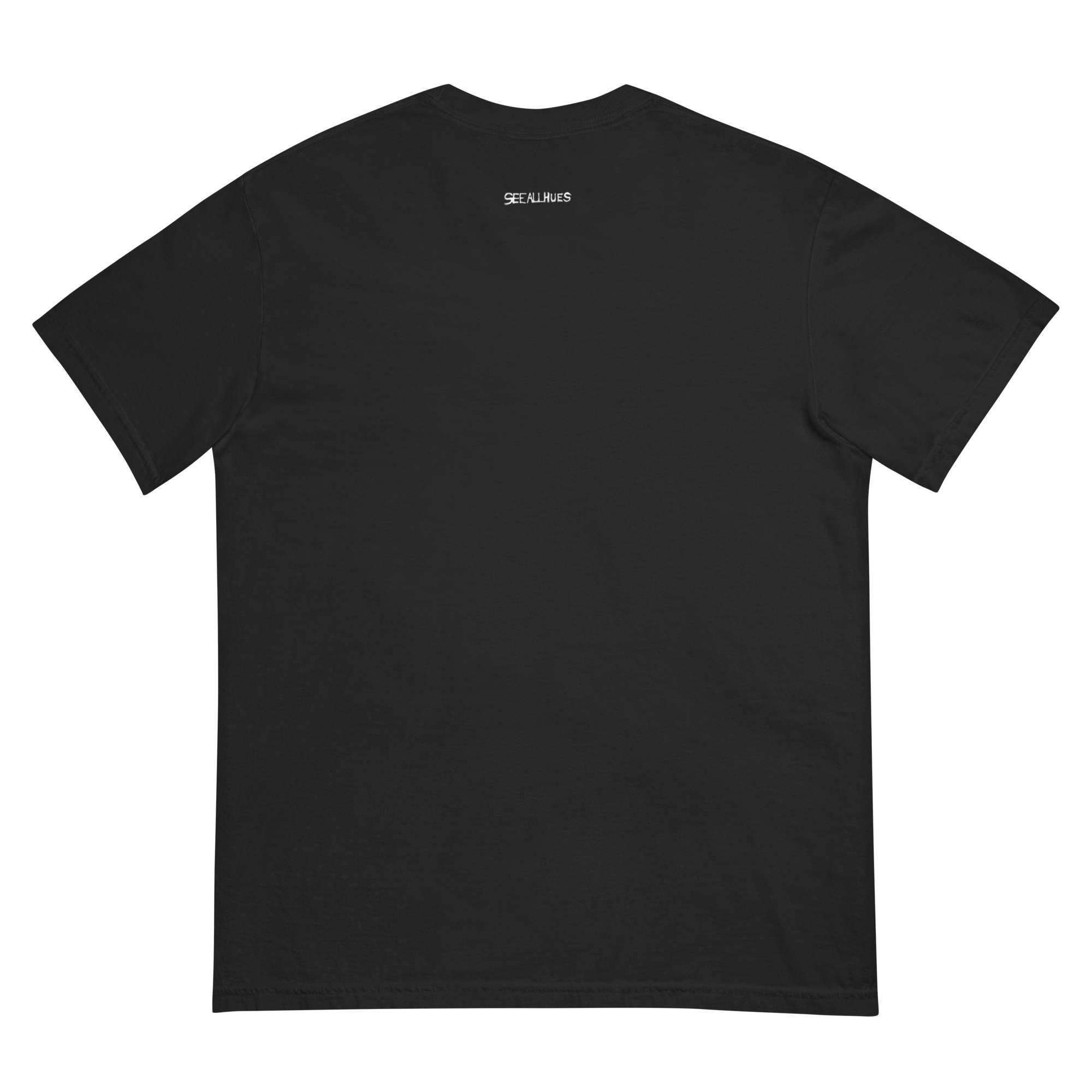 unisex-garment-dyed-heavyweight-t-shirt-black-back-68614581ce020.png