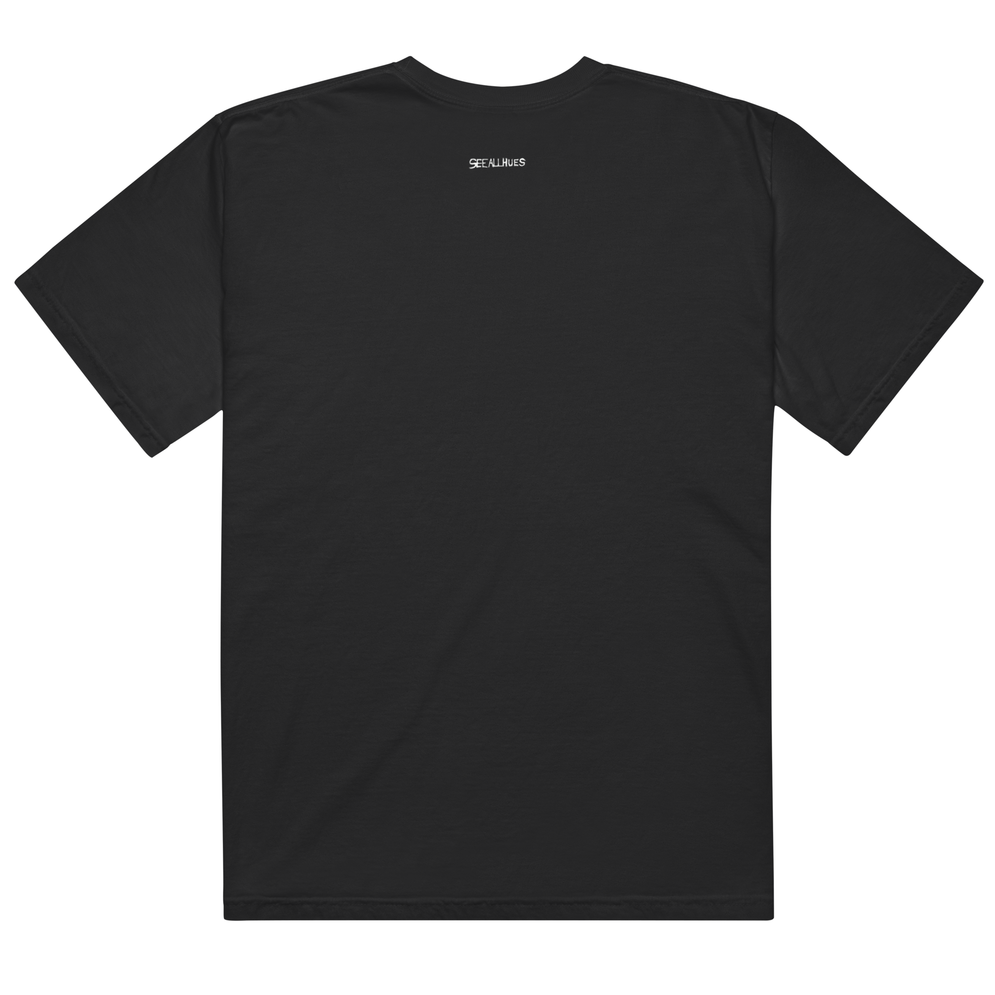 unisex-garment-dyed-heavyweight-t-shirt-black-back-68645cd0b8f74.png