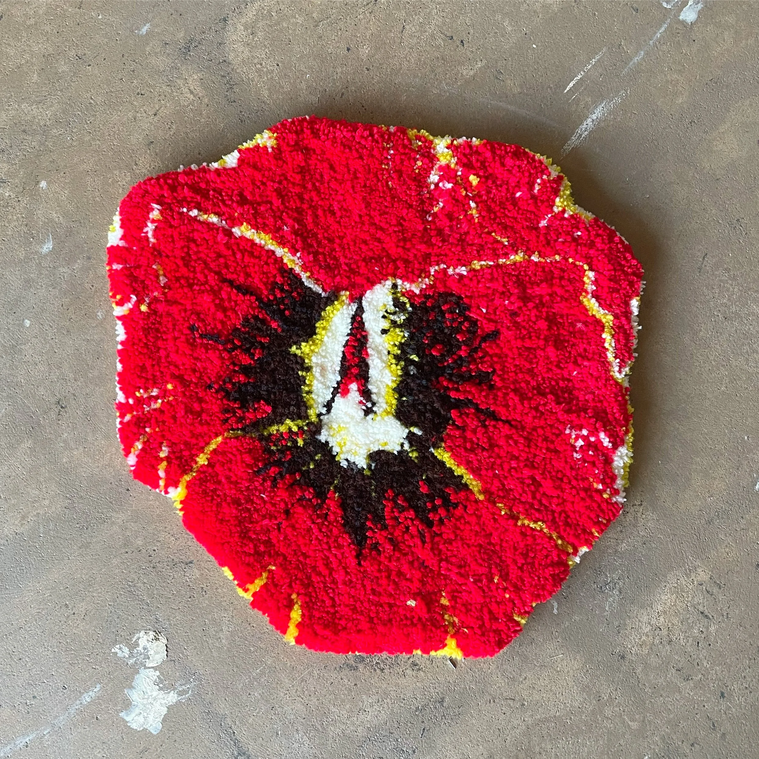 Pansy, Sapaugh, Alex.JPG