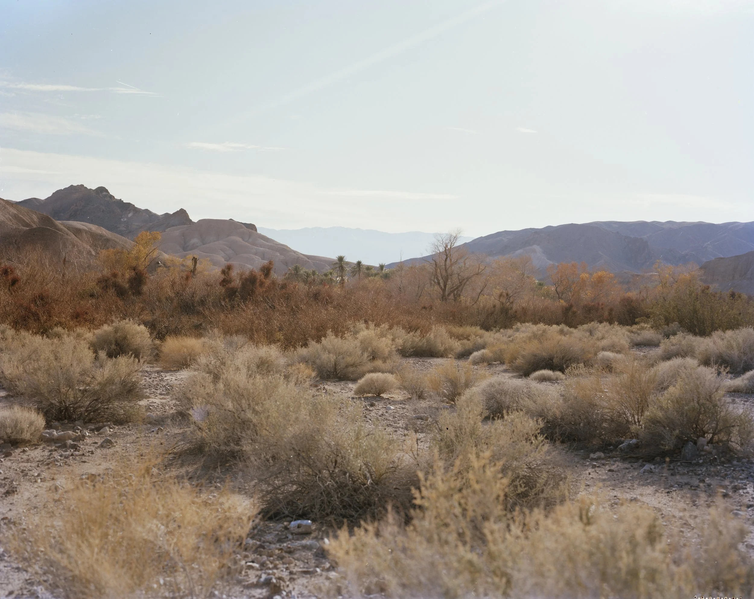 4 x 5 color film Tecopa, CA
