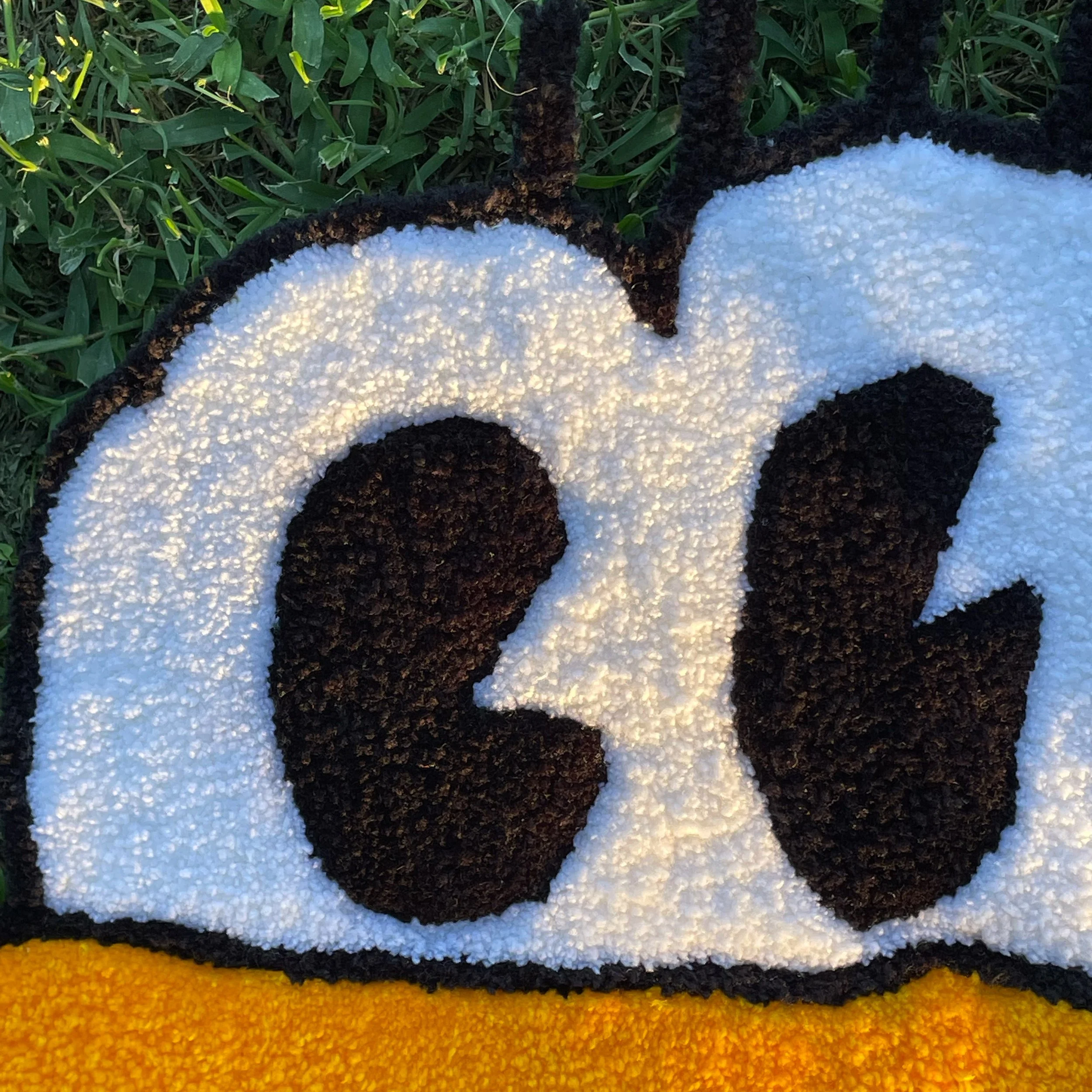 This Old Dog Detail, Sapaugh, Alex.JPG