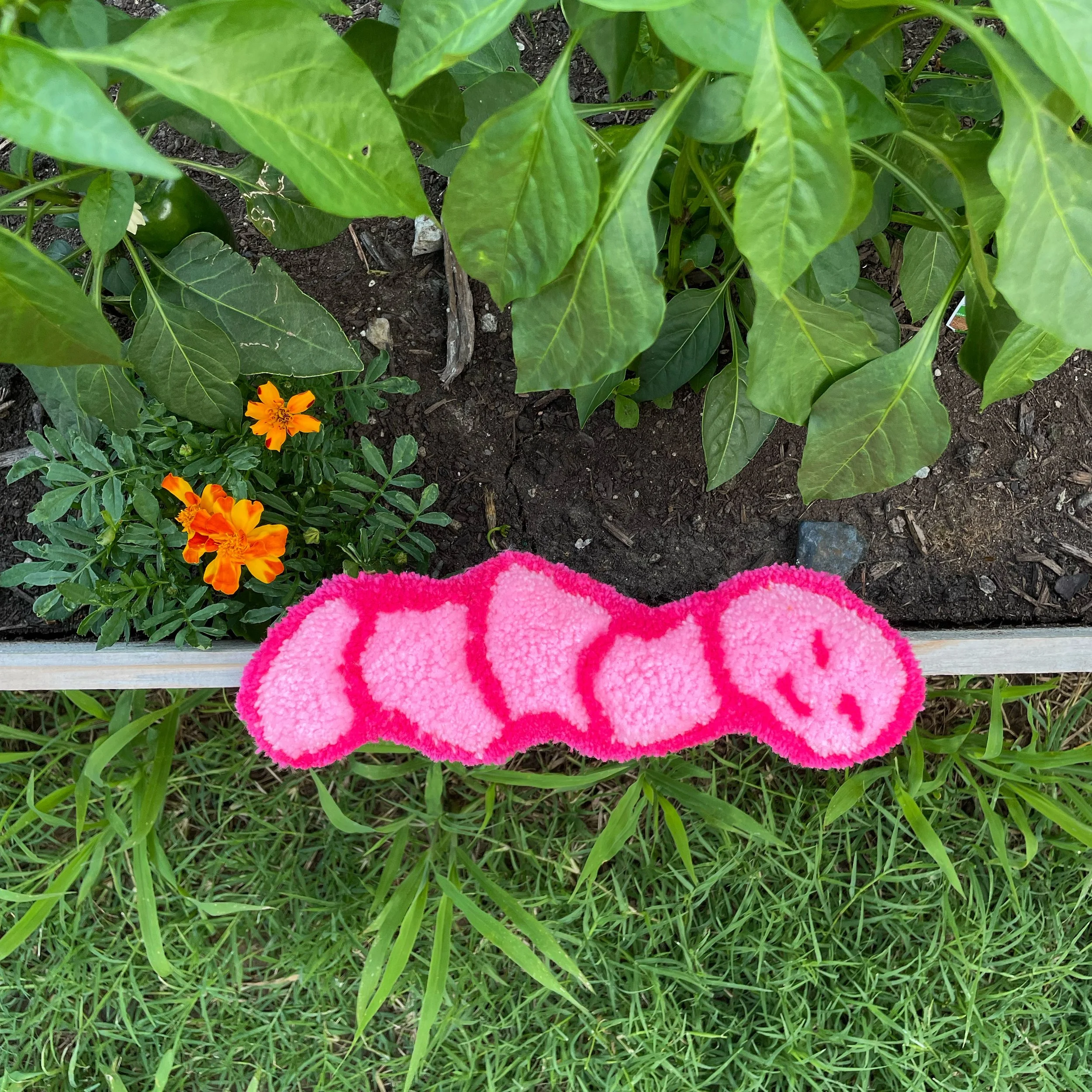 Worm 2, Sapaugh, Alex.JPG