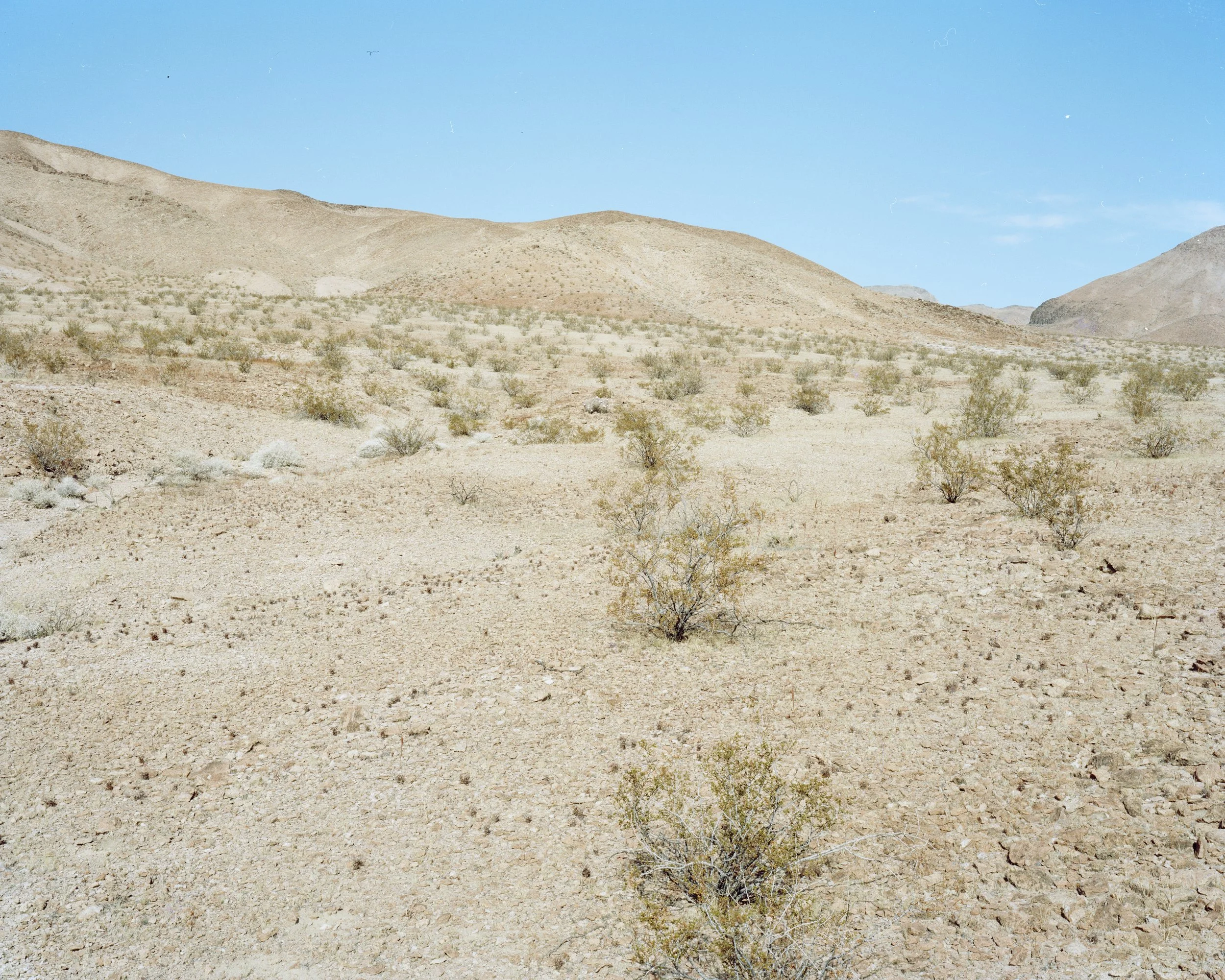 4x5 color film. Tecopa, CA