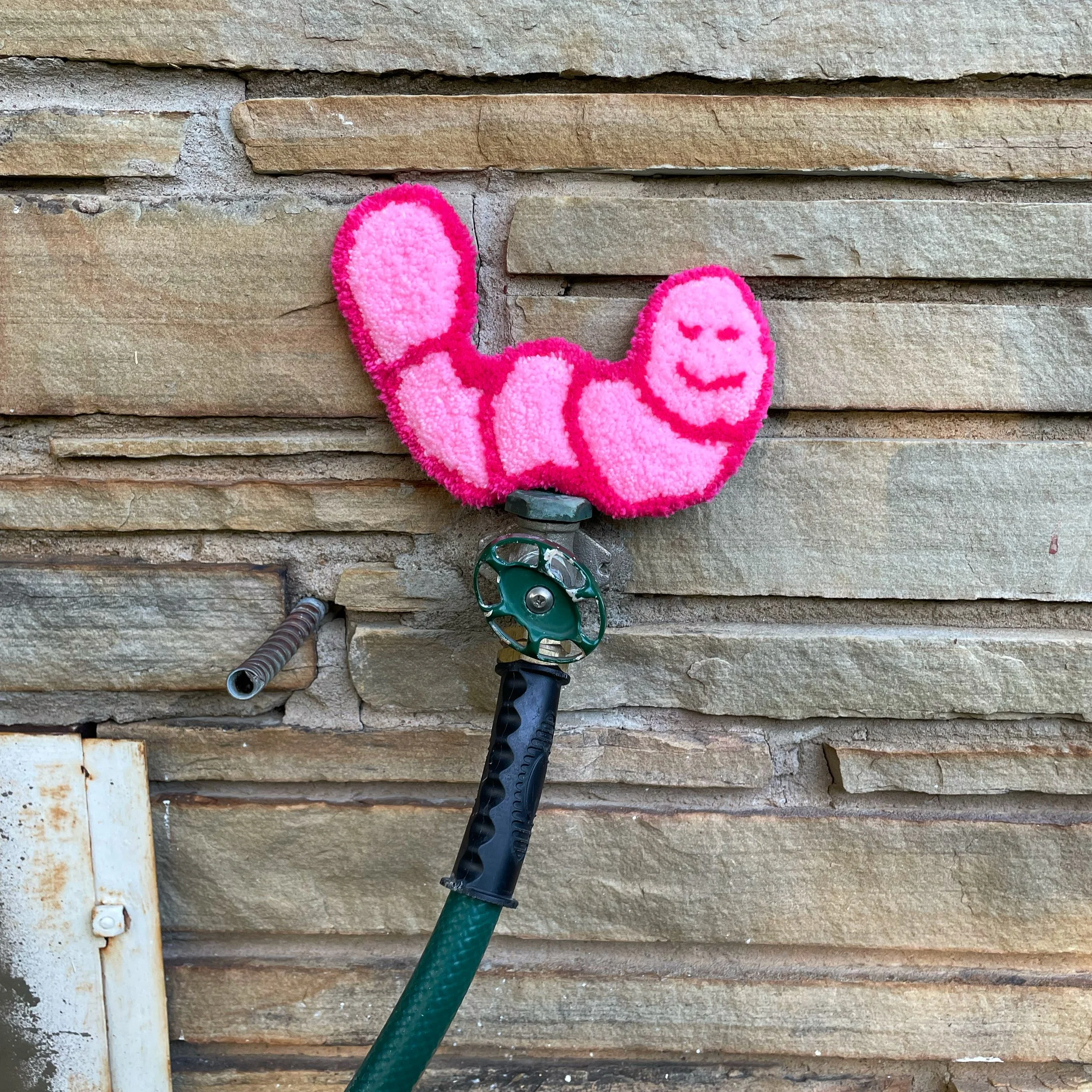 Worm 1, Sapaugh, Alex.JPG