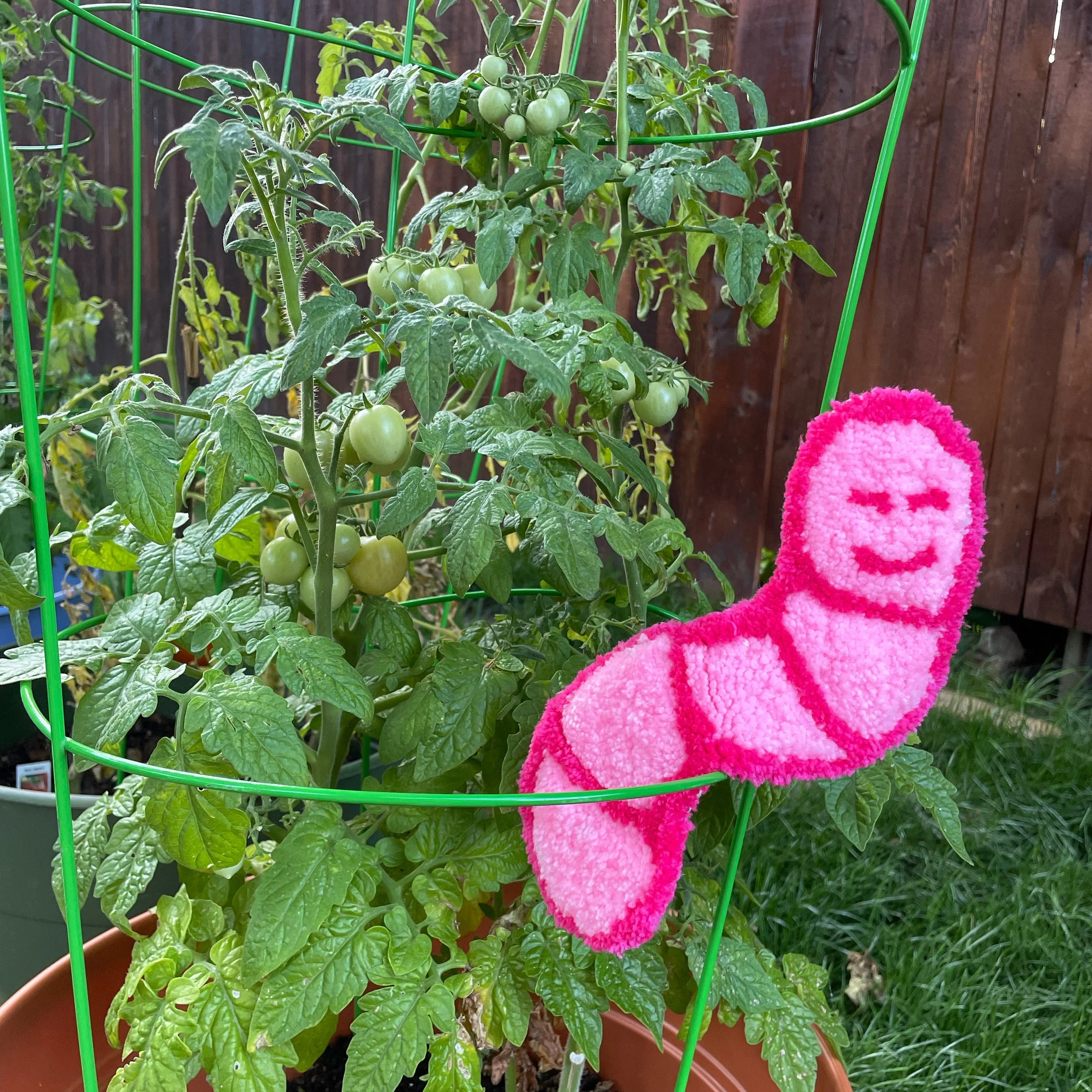 Worm 3, Sapaugh Alex.JPG