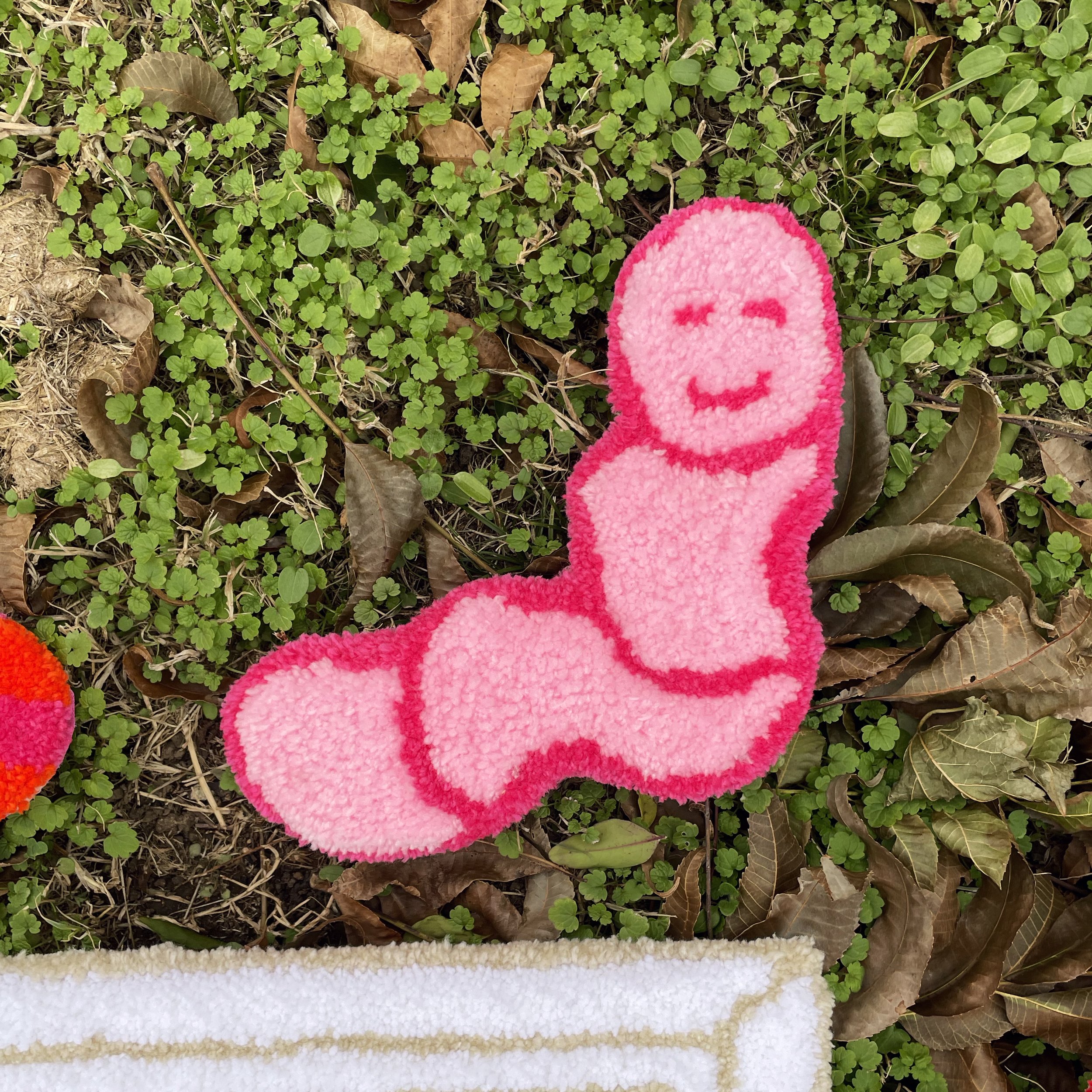 Worm 6, Sapaugh, Alex.jpg
