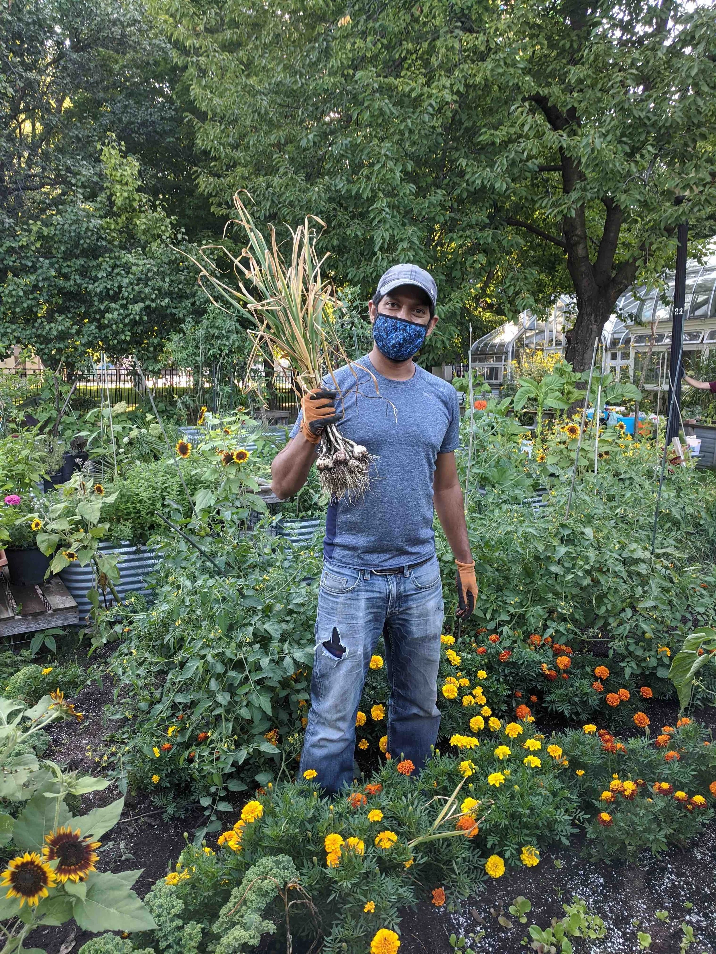 Edible Allan Gardens